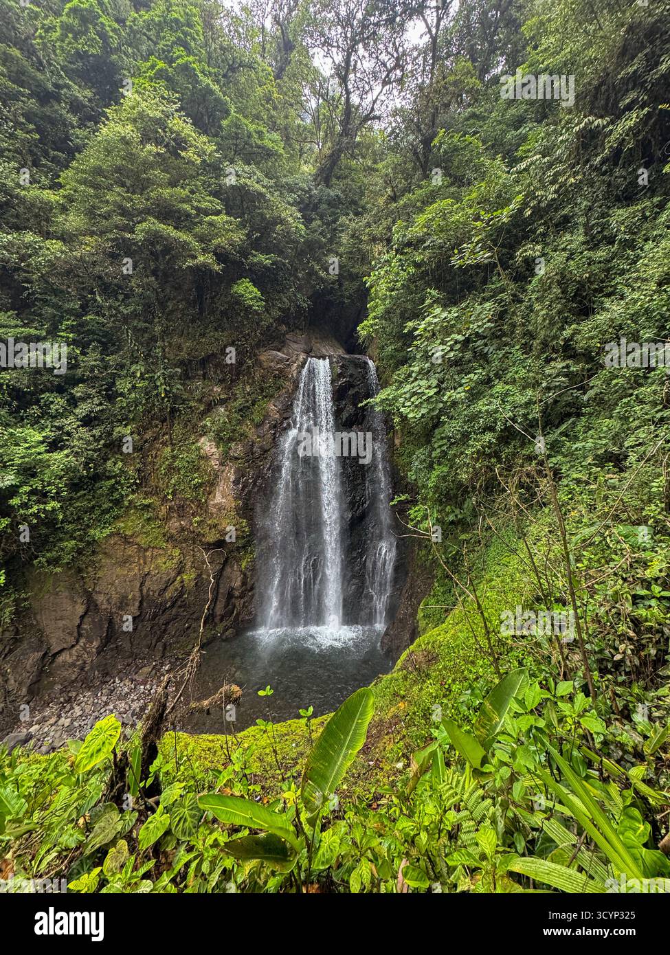 Lush Rainforest Waterfall at El Tigre Waterfalls, Costa Rica - Smartphone Captured Stock Image