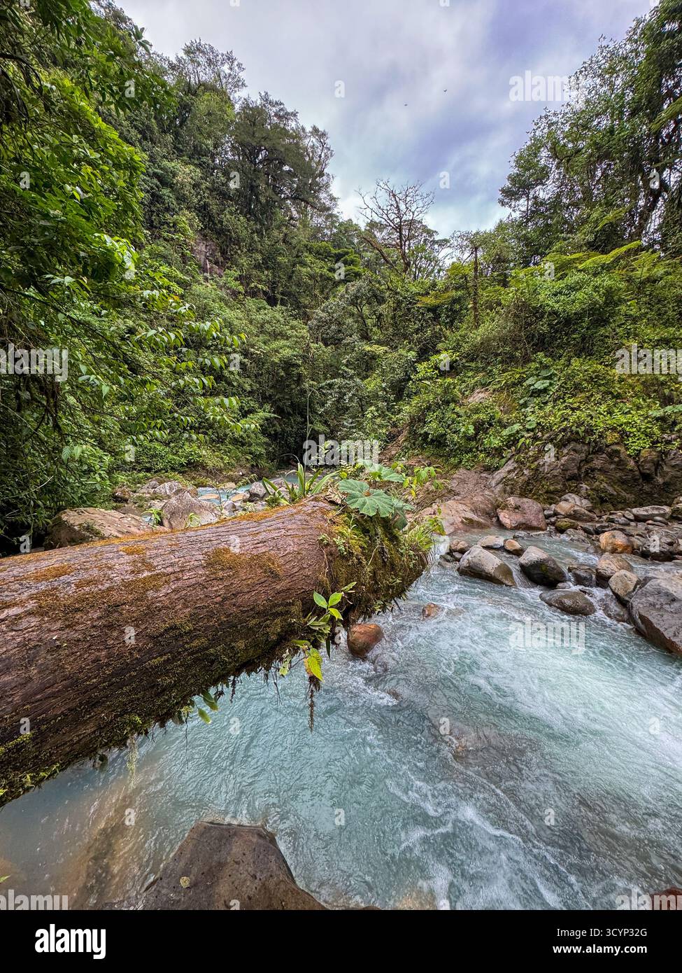 Fallen Log Over Rushing Turquoise Volcanic River in Costa Rican Jungle - Smartphone Captured Stock Image