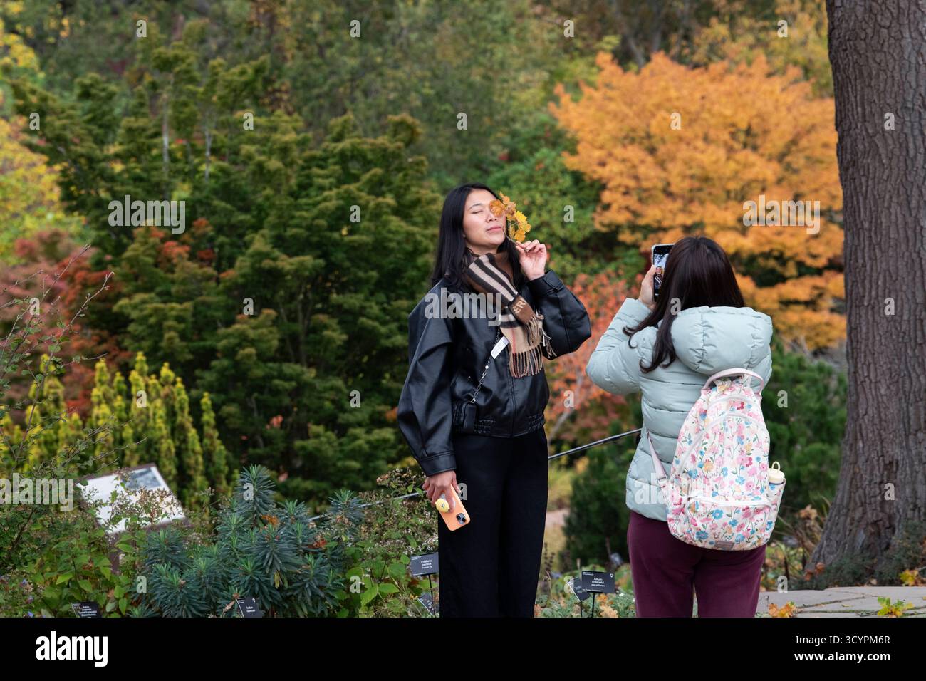 Japanese tourists taking a selfie with a smart phone in autumn. RHS Wisley Gardens, Surrey, England Stock Photo