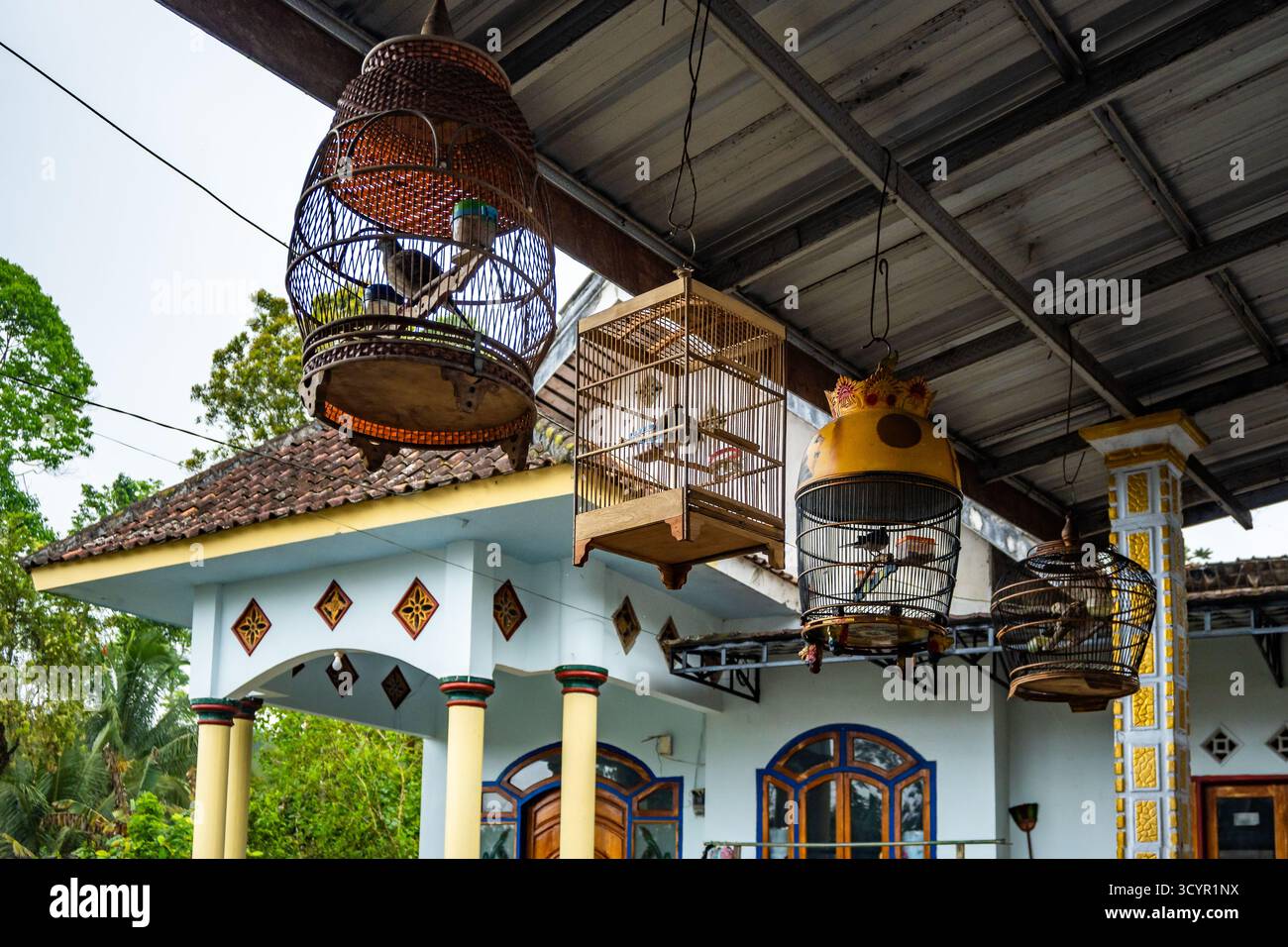 Caged birds hanging in front of a house. Bali, Indonesia. Stock Photo