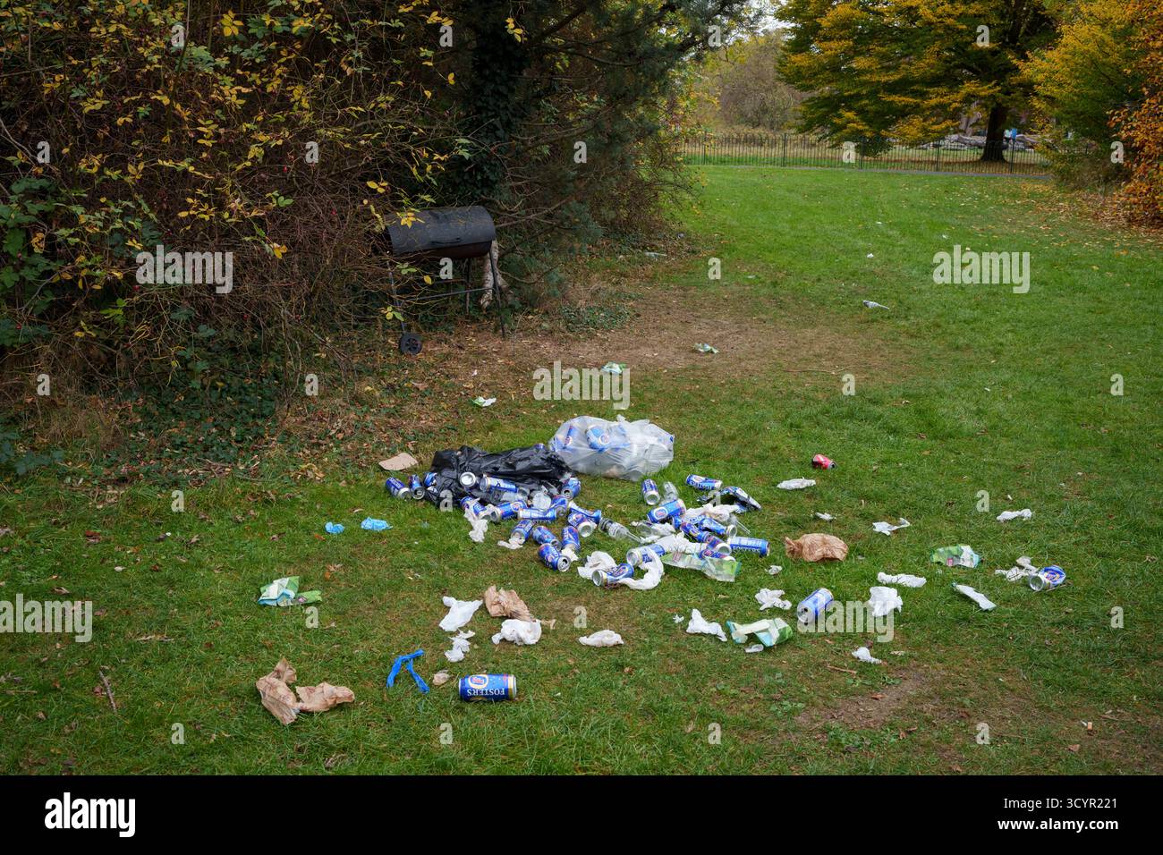 Beer cans and other party litter has been left on the ground in a quiet ...