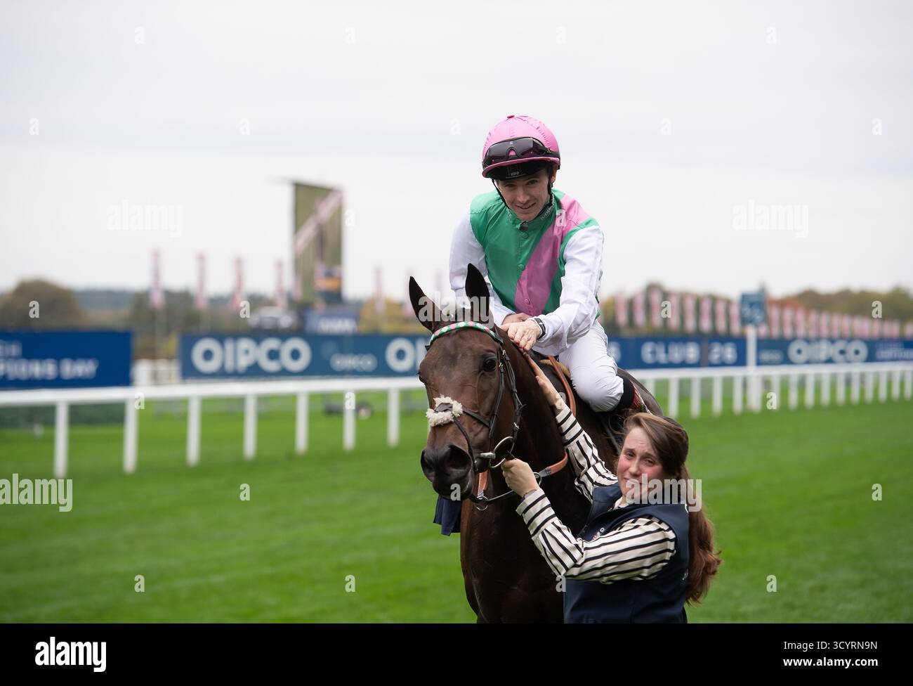 kalpana-horse-hi-res-stock-photography-and-images-alamy