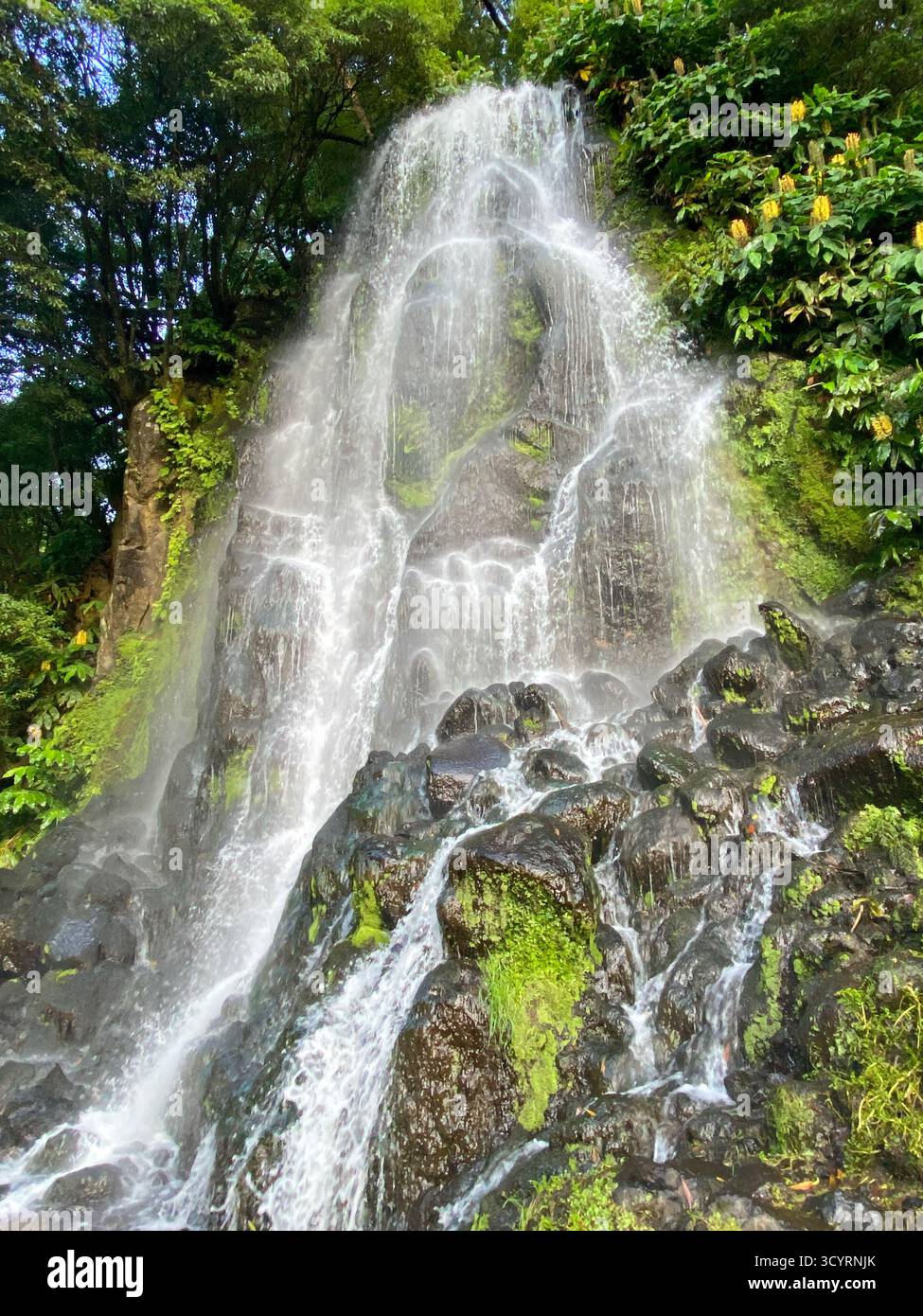 Cascading Waterfall Over Mossy Rocks in a Lush Green Volcanic Landscape, Azores - Smartphone Captured Stock Image