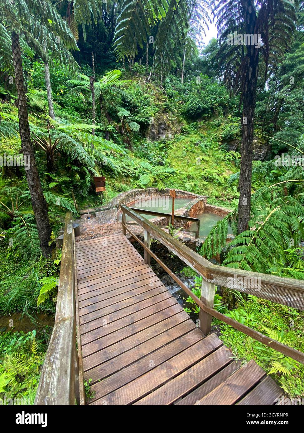 Wooden Boardwalk to Rustic Thermal Hot Springs Surrounded by Lush Subtropical Forest in the Azores - Smartphone Captured Stock Image