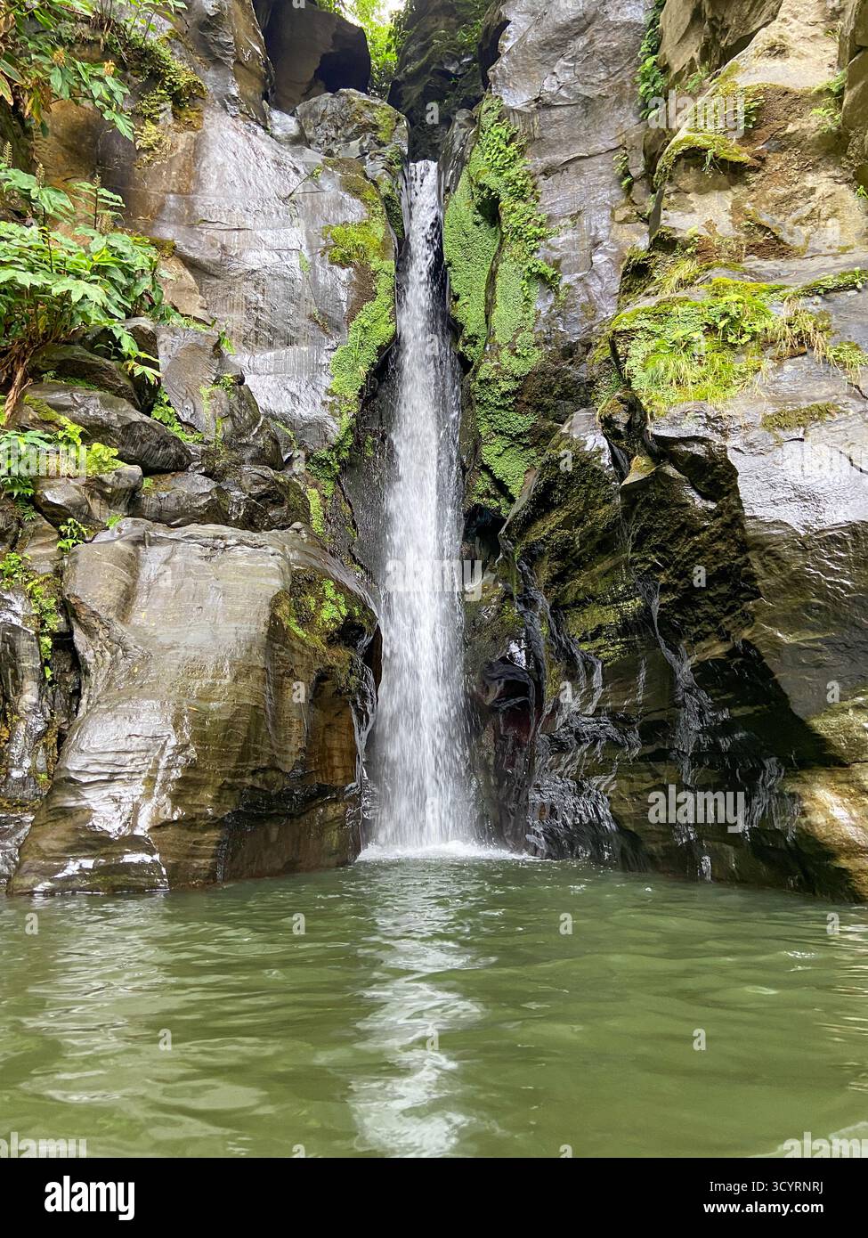 Rustic Thermal Hot Springs Surrounded by Lush Subtropical Forest in the Azores - Smartphone Captured Stock Image