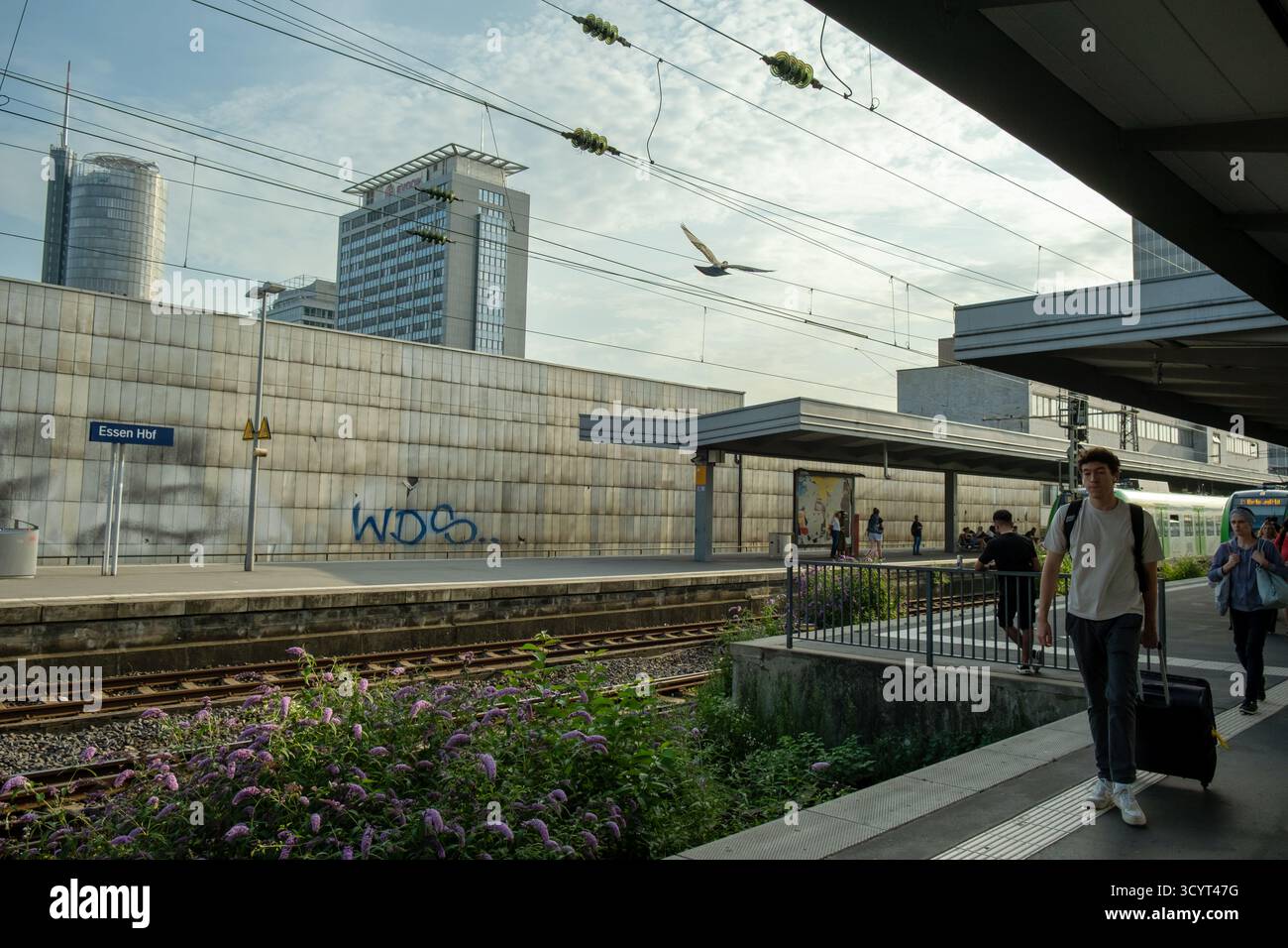 14.08.2025, Germany, North Rhine-Westphalia, Essen - Platform at Essen Central Station and office high-rise buildings in the city centre. 00A250814D01 Stock Photo