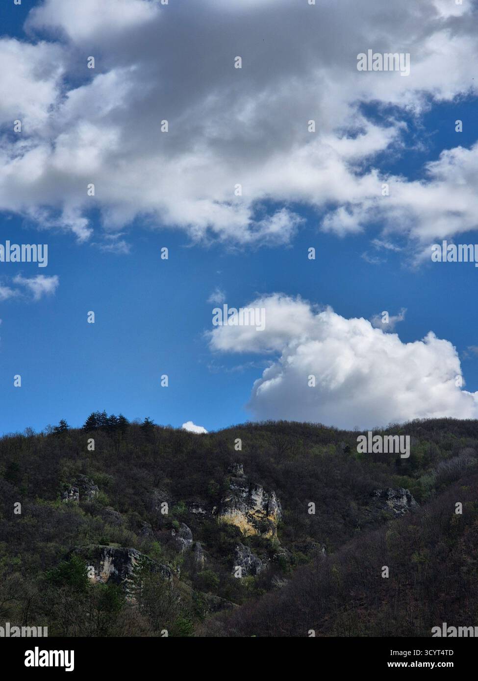 Landscape with, gray mountains, trees and blue sky - Smartphone Captured Stock Image