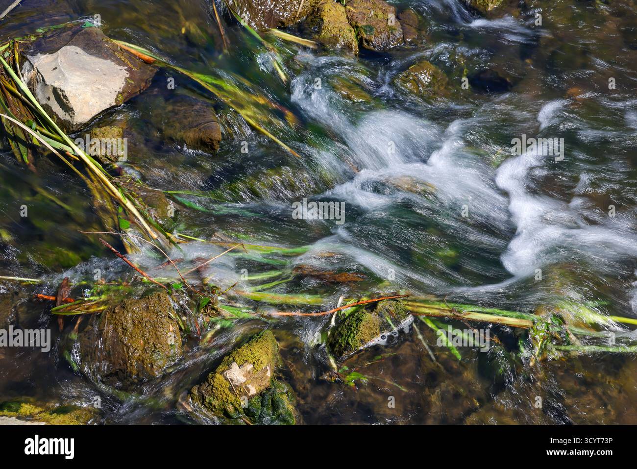 25.06.2025, Germany, North Rhine-Westphalia, Bottrop - Renatured Boye, the tributary of the Emscher, has been redesigned as a near-natural watercourse Stock Photo