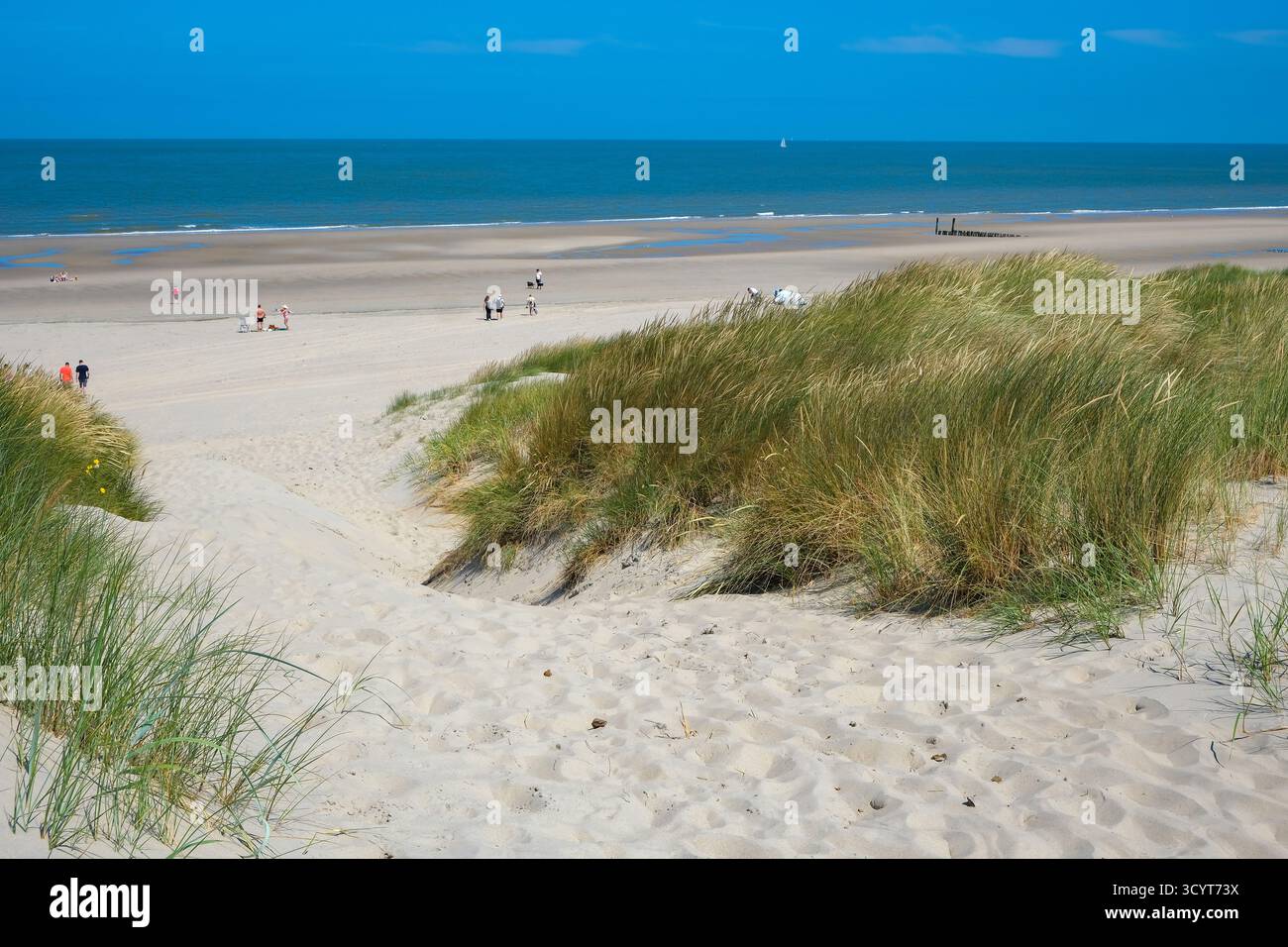 29.06.2025, Netherlands, Zeeland, Domburg - Noordduine beach in Domburg. 00X250629D007CAROEX.JPG [MODEL RELEASE: NO, PROPERTY RELEASE: NO (c) caro ima Stock Photo