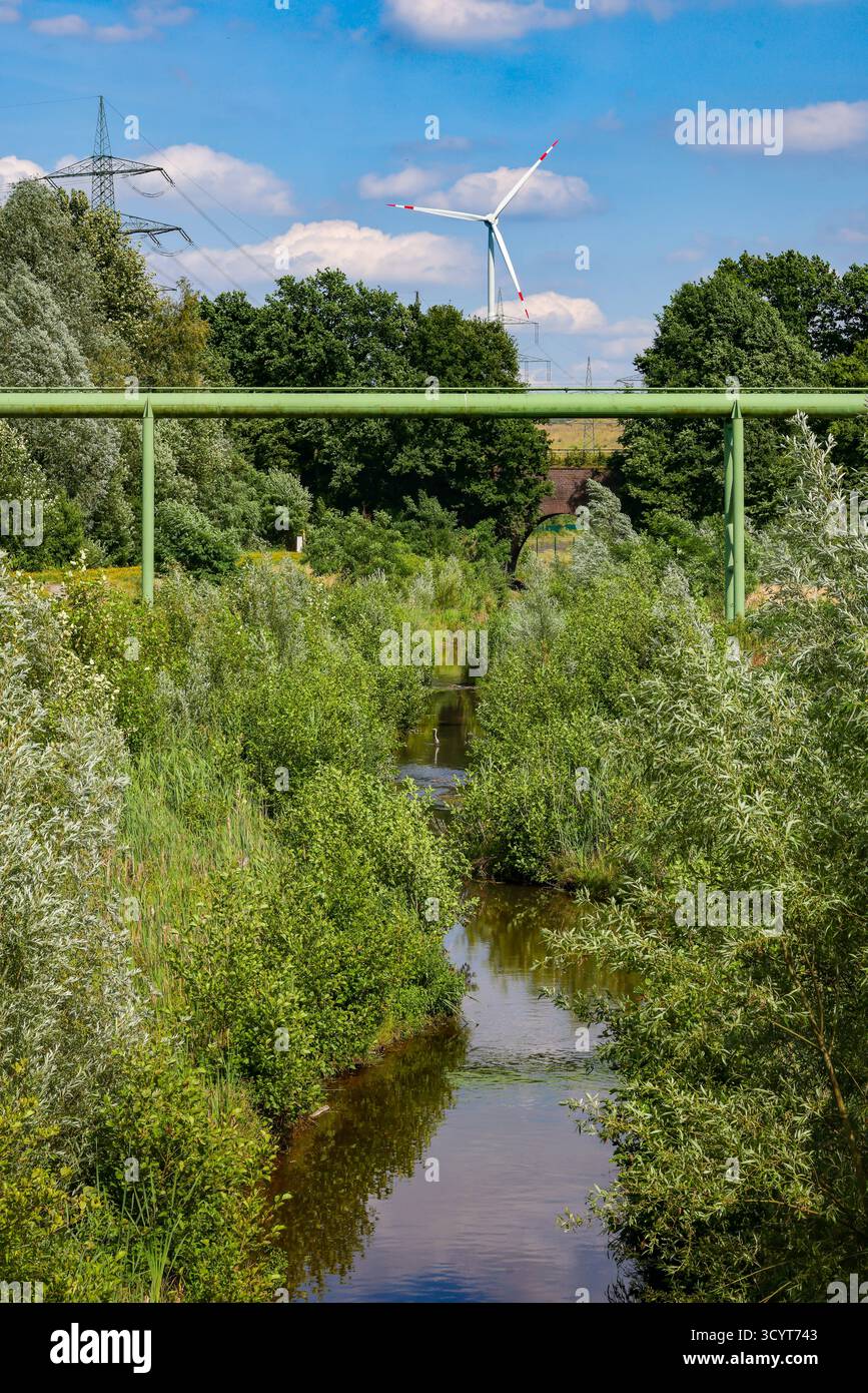 25.06.2025, Germany, North Rhine-Westphalia, Bottrop - Renatured Boye, the tributary of the Emscher, was redesigned into a near-natural watercourse. F Stock Photo