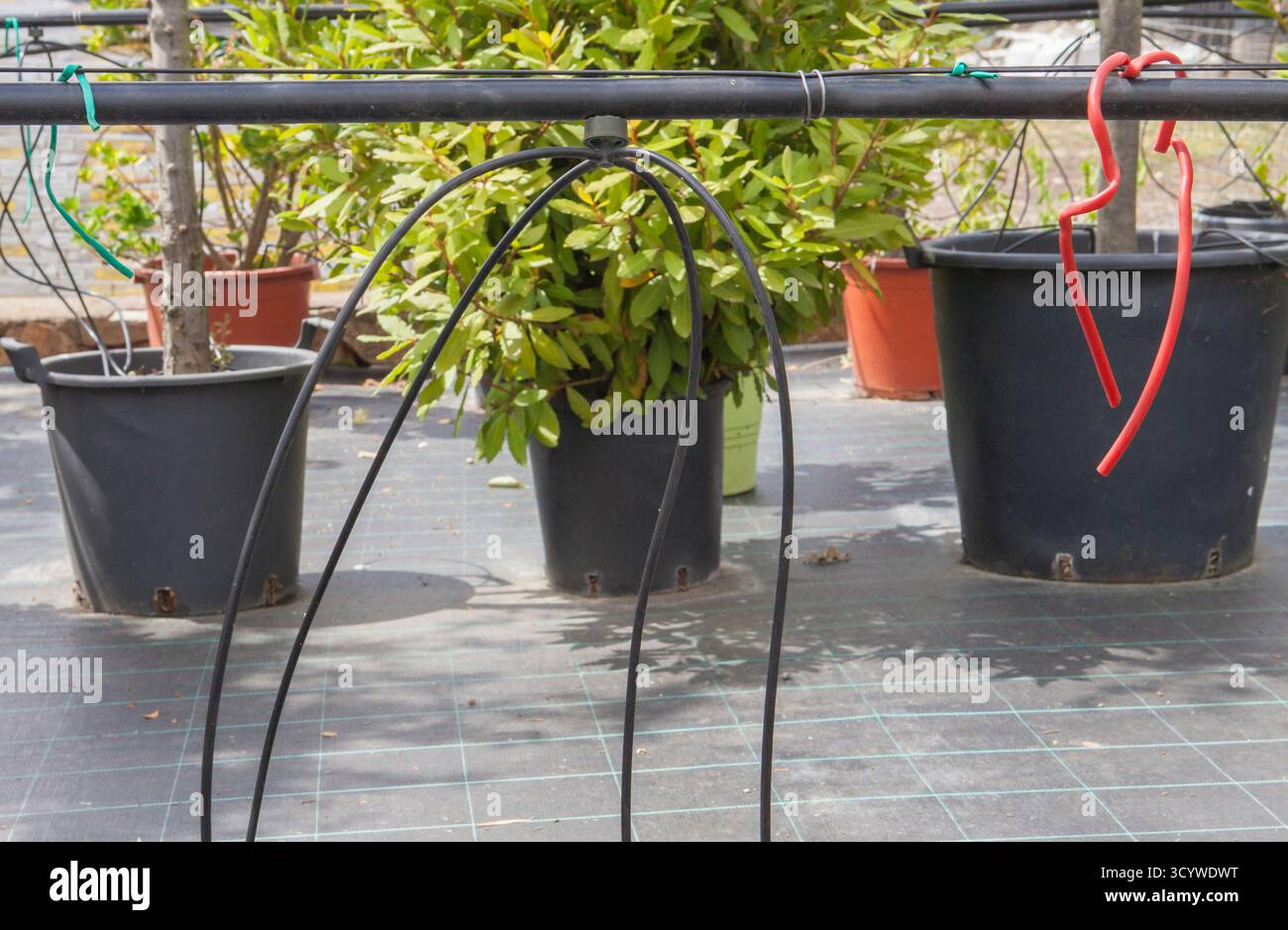 Spider drip irrigation system hi-res stock photography and images - Alamy