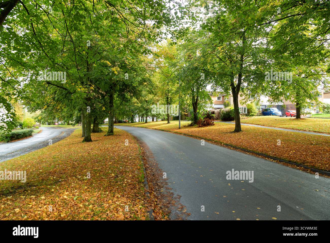 A quiet road in Knutsford town with autumn leaves on the ground Stock Photo