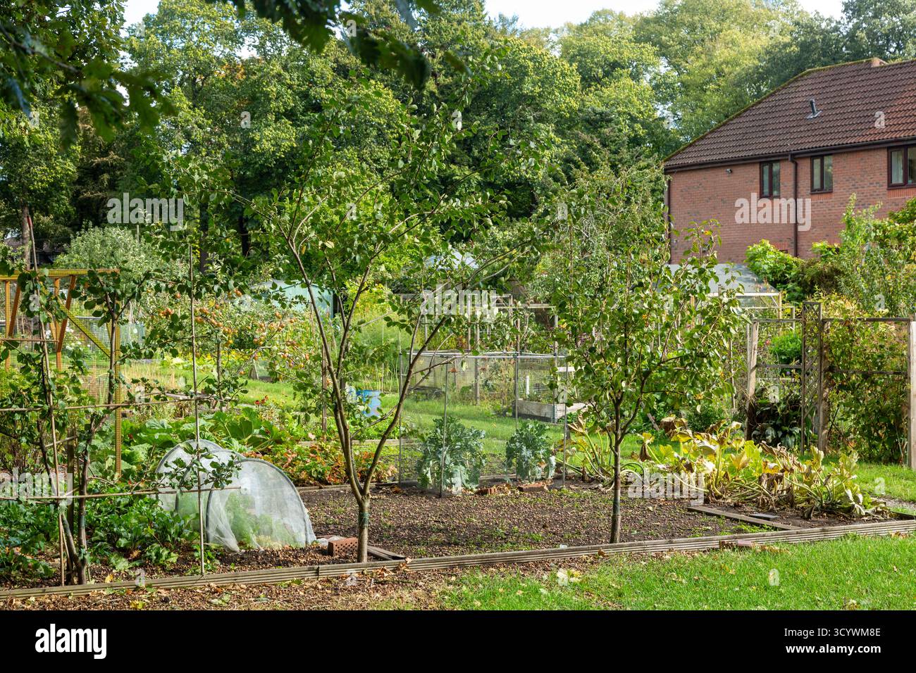 Sparrow Lane Allotments, Knutsford, Cheshire,England Stock Photo