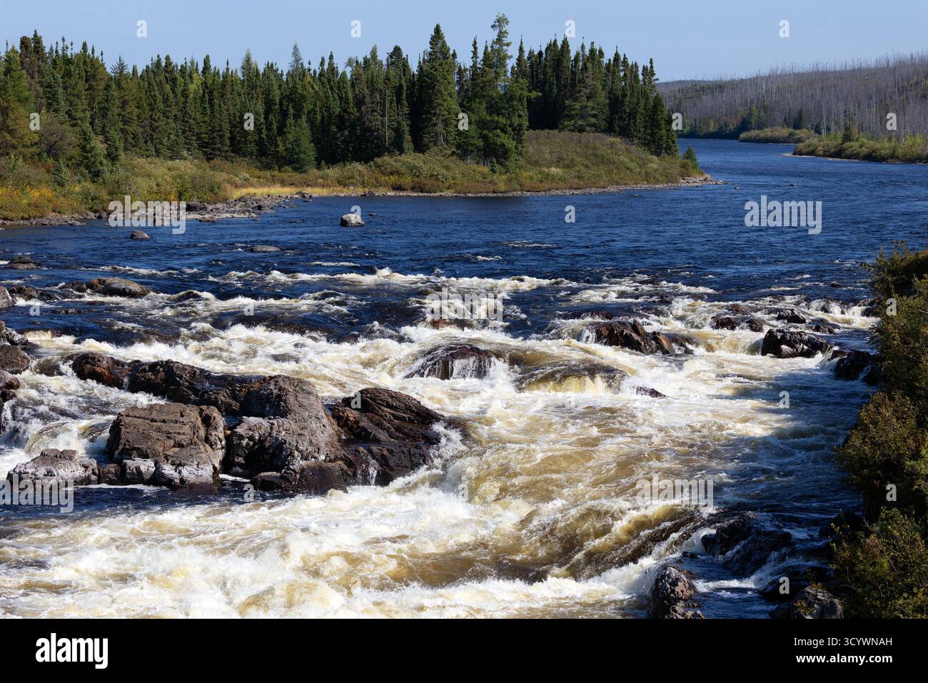 The Hart-Jaune River rushes over rocks and rapids through the remote boreal forest of northern Québec Stock Photo