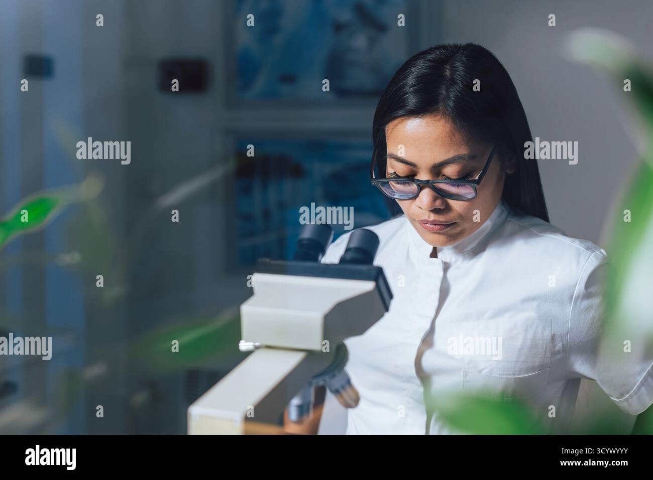 A scientist studies samples closely at a microscope in a laboratory. Stock Photo