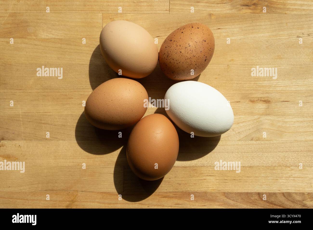 Assorted chicken eggs on wooden table in natural light Stock Photo