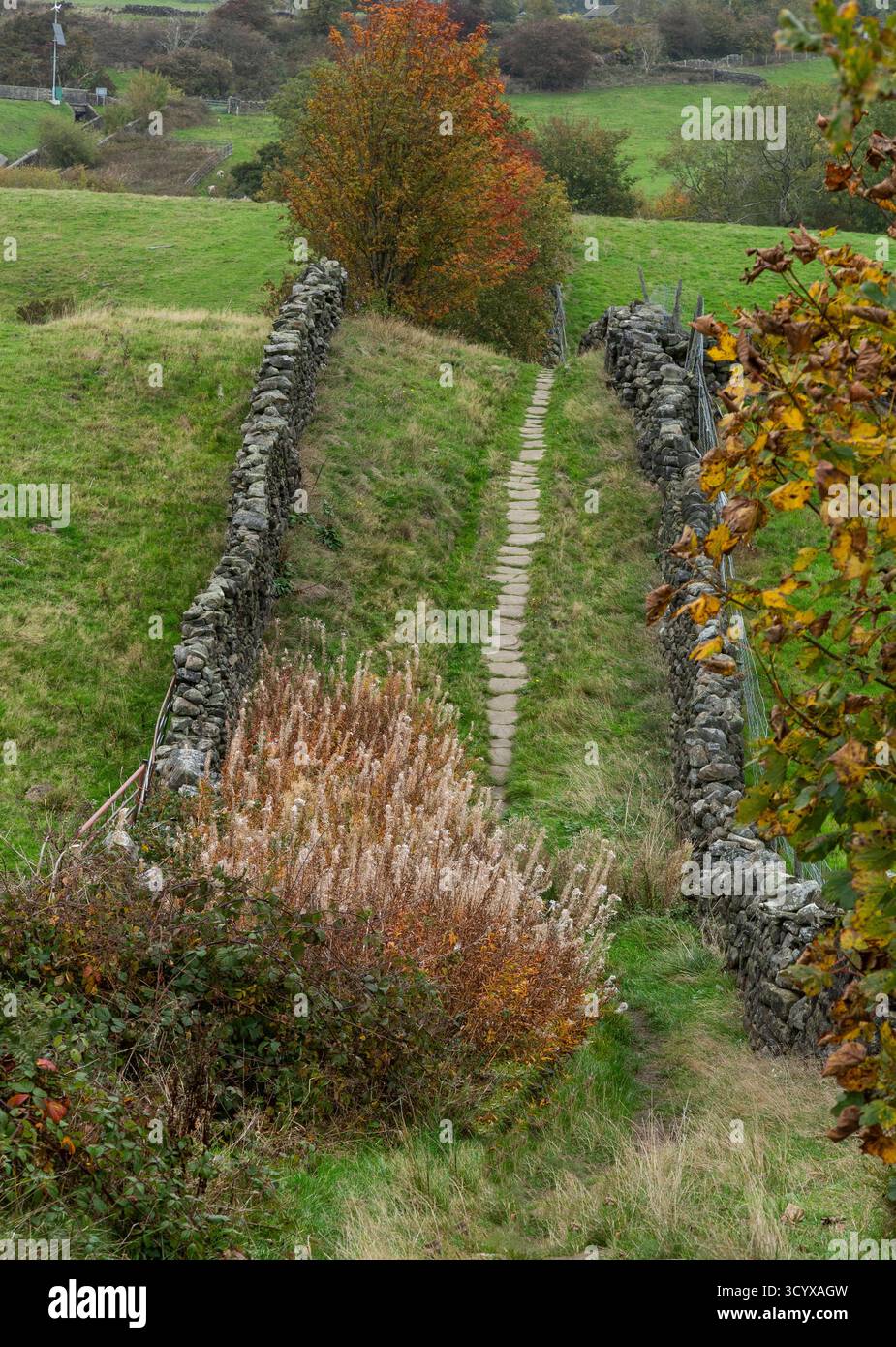 Undulating Footpath An undulating flagged path between dry stone walls in Eldwick ...