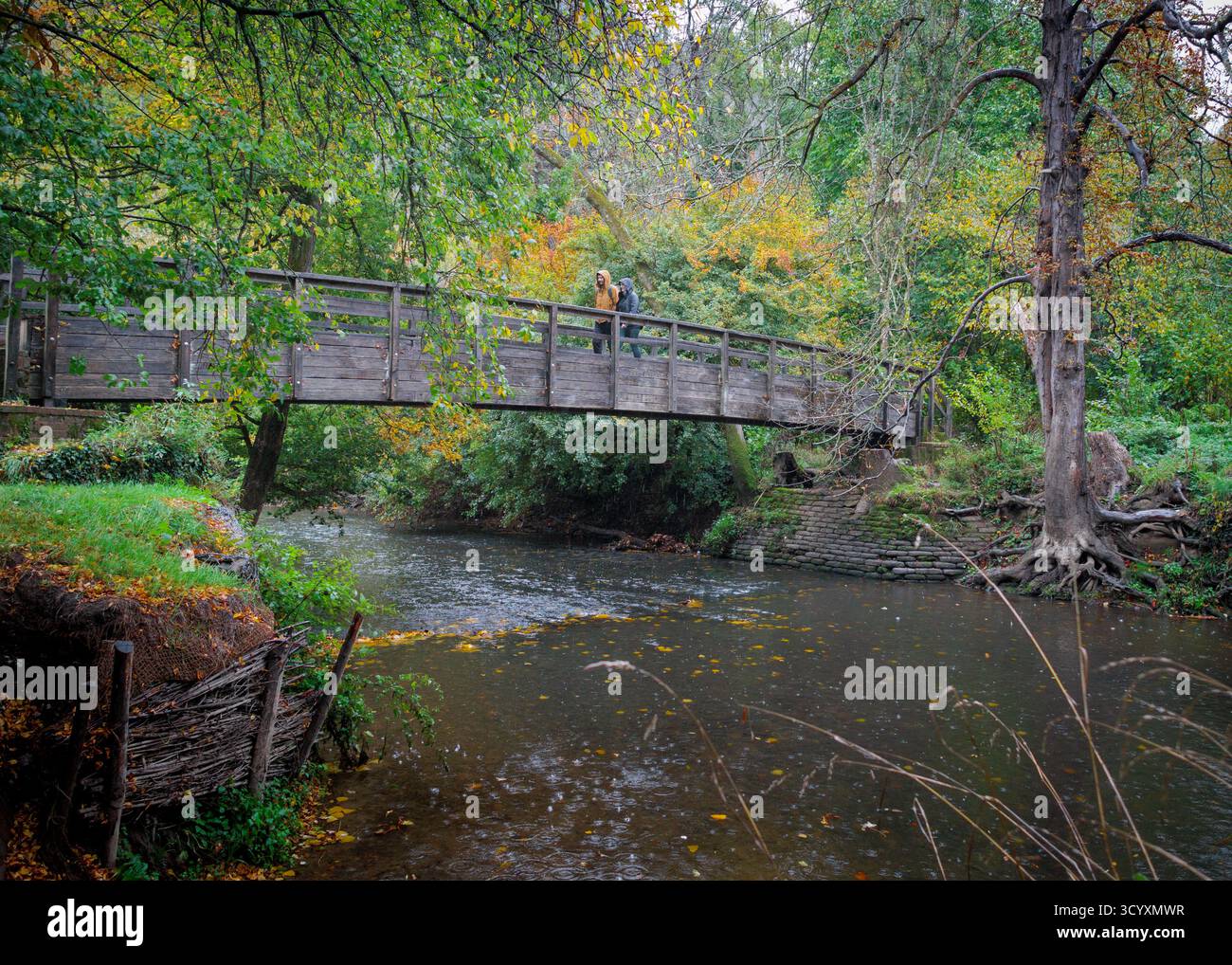 Three Rivers Surrey Box hill river surrey hi-res stock photography and images - Alamy