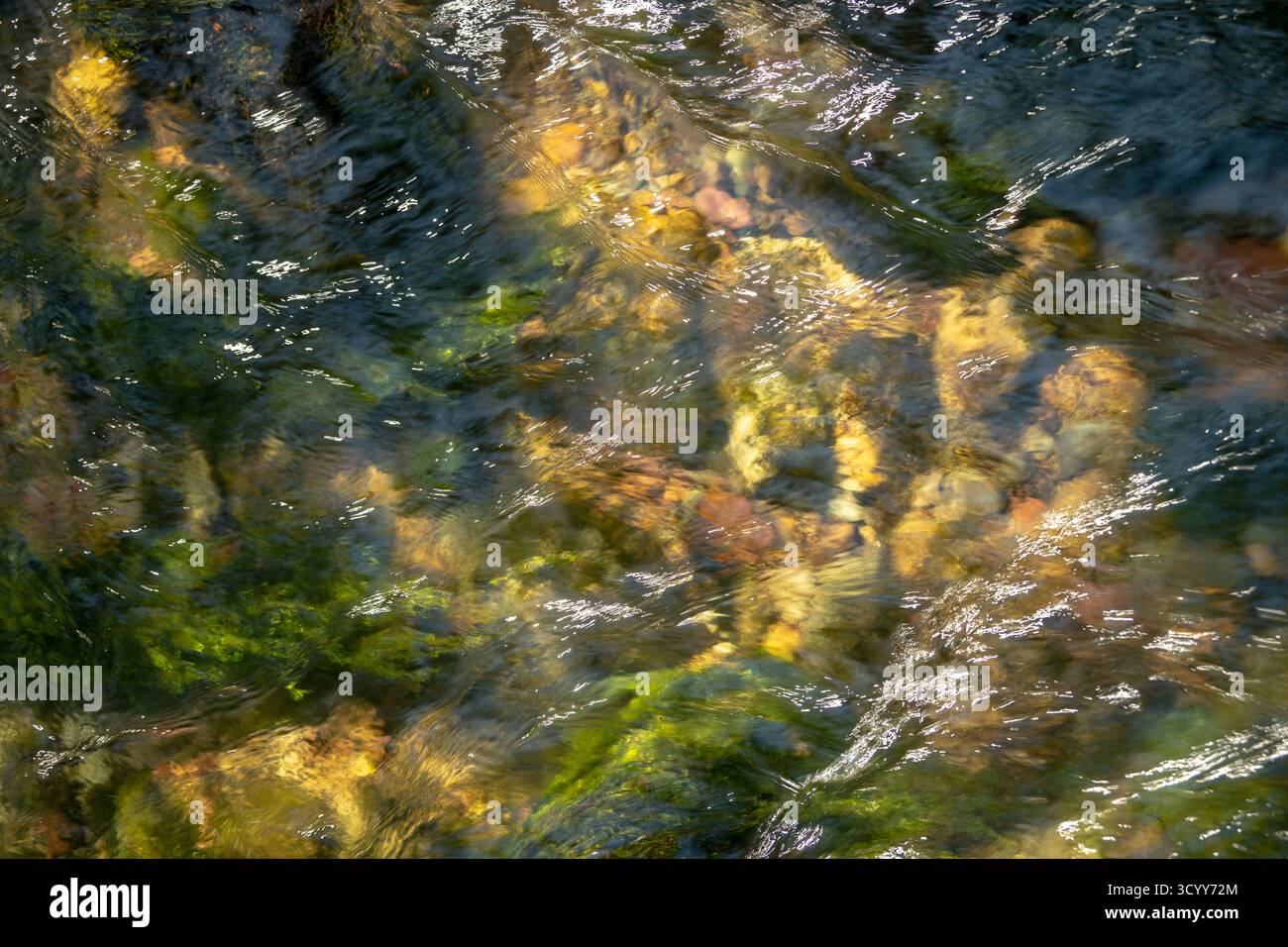Clear Water Rushes Over River Rocks in Glacier creek Stock Photo - Alamy