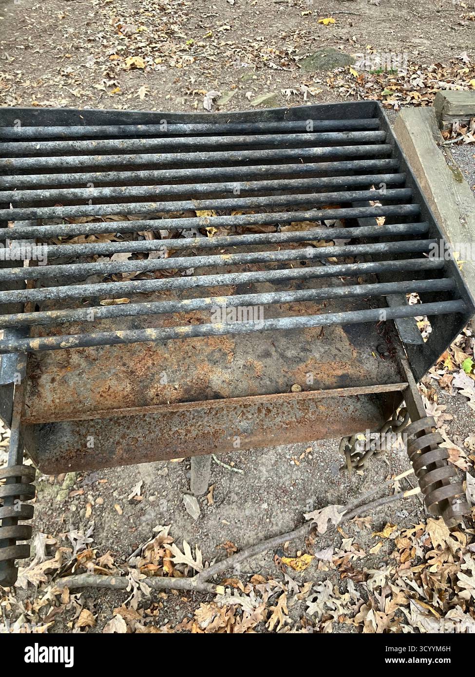 Leaves falling, grills calling - Smartphone Captured Stock Image