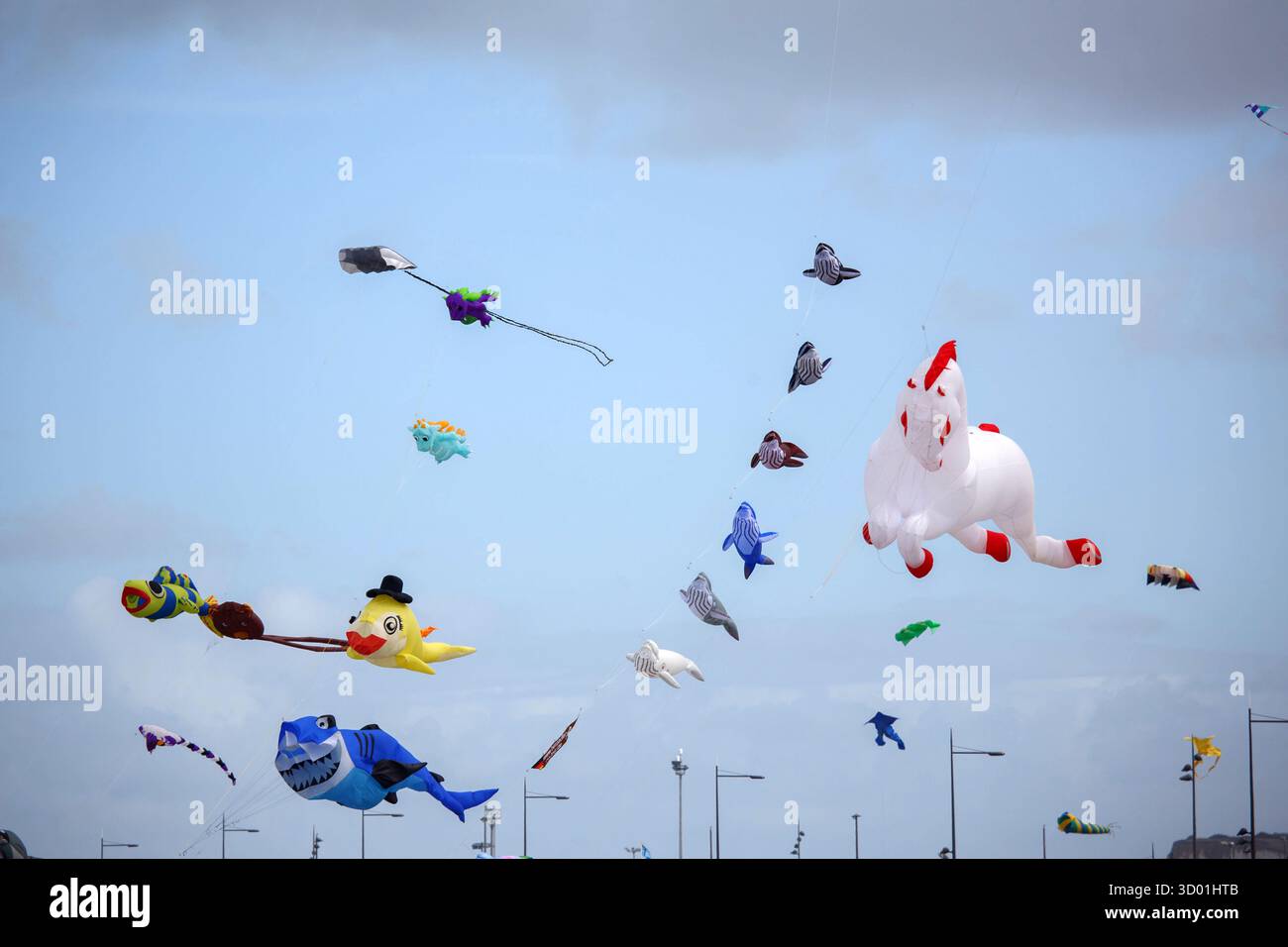 France, Normandy region, Seine-Maritime departement, Dieppe International Kite Festival, 2025 edition Stock Photo