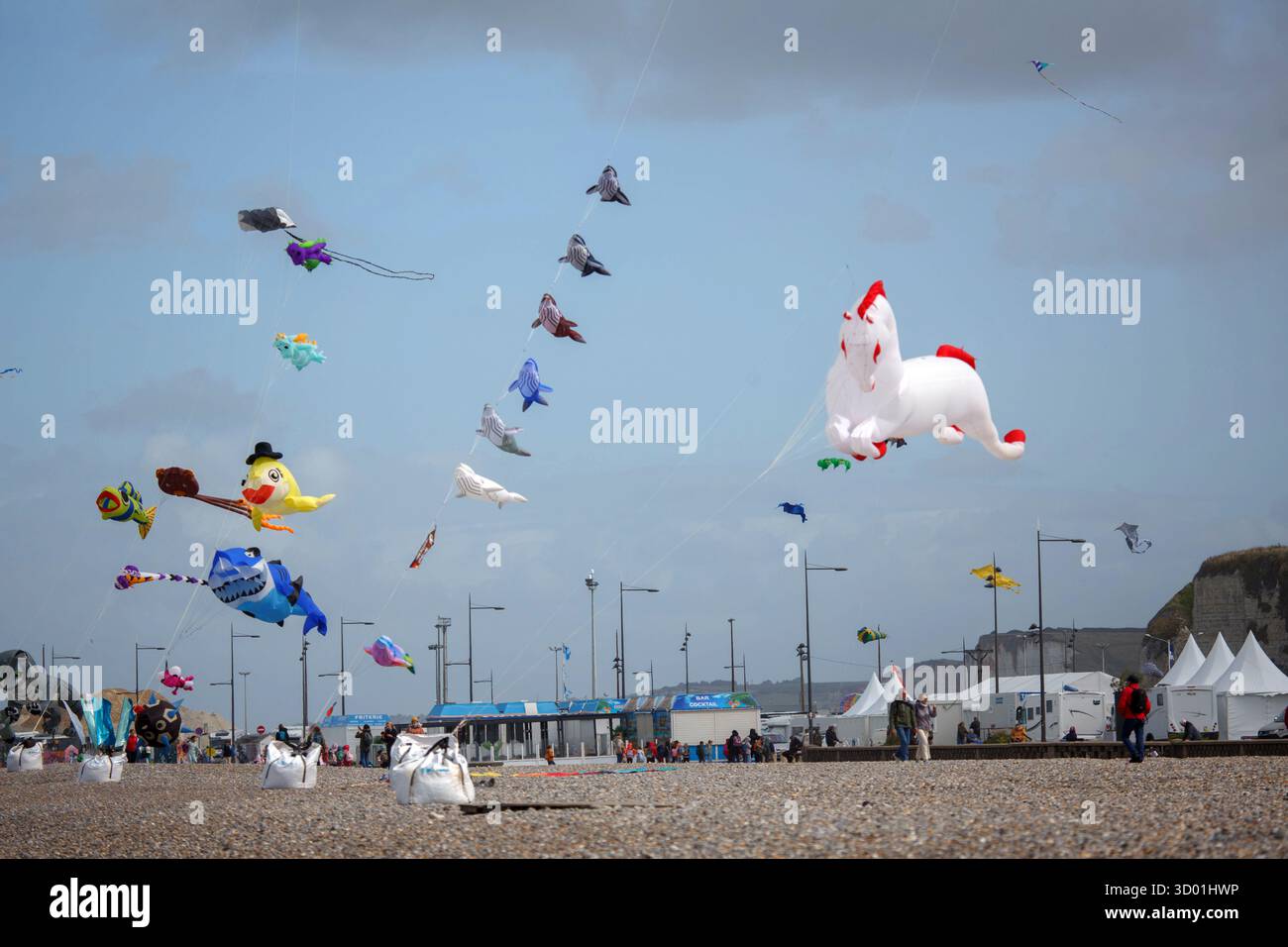 France, Normandy region, Seine-Maritime departement, Dieppe International Kite Festival, 2025 edition Stock Photo