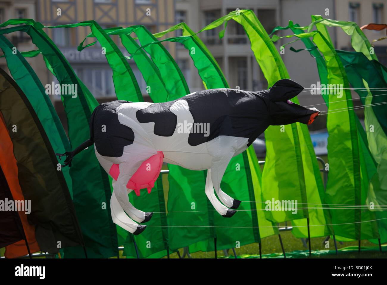 France, Normandy region, Seine-Maritime departement, Dieppe International Kite Festival, 2025 edition Stock Photo