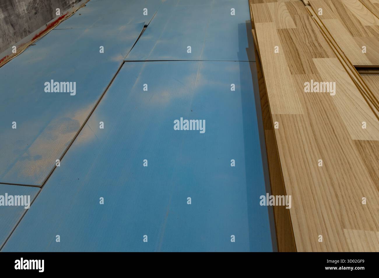 Wood laminate flooring boards stacked on blue underlay during installation in modern home renovation. Concept of DIY, interior improvement, constructi Stock Photo