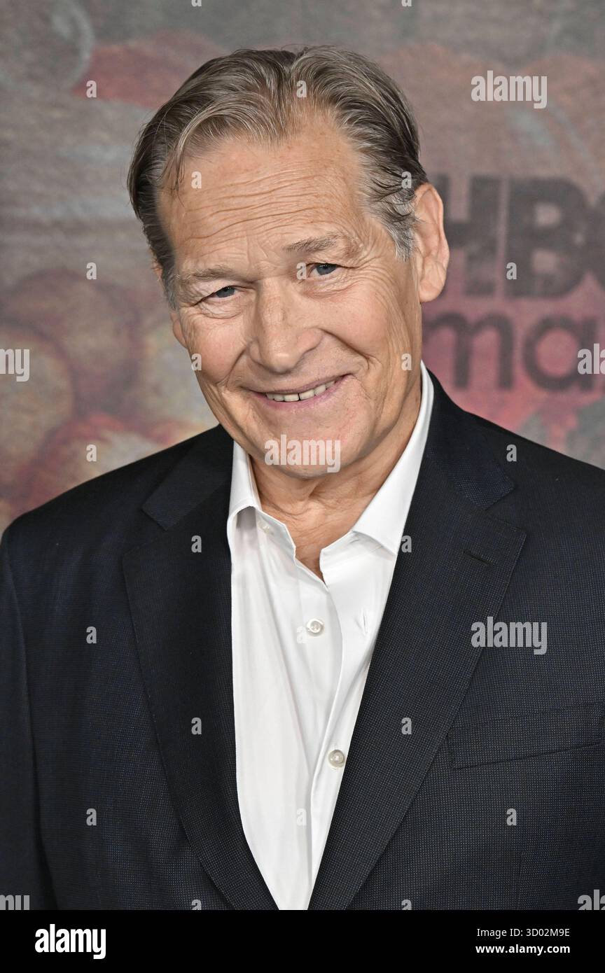 James Remar bei der Premiere der HBOSerie It to Derry auf dem(01)