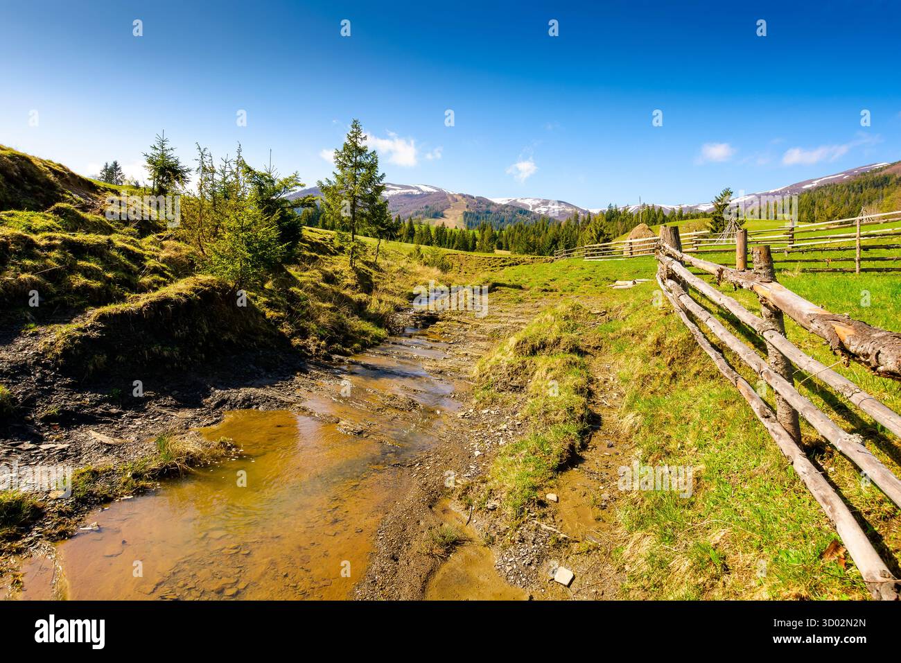 rural scene of carpathian mountain landscape in spring. green countryside with forested hills. sunny morning near podobovets village in ukraine. beaut Stock Photo