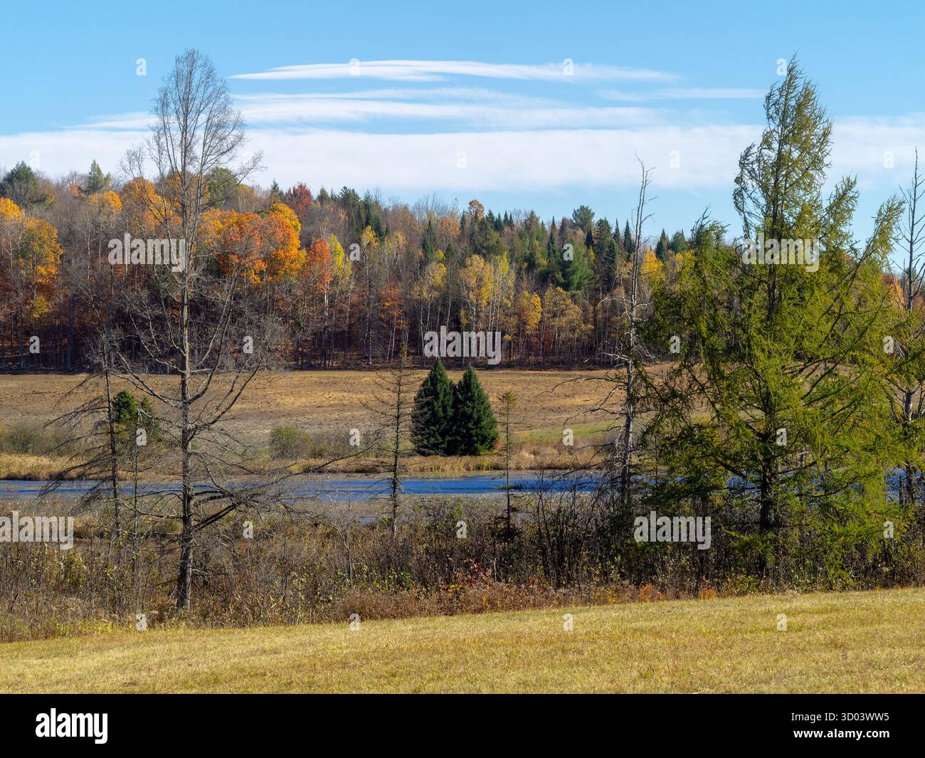 Canada landscape trees hi-res stock photography and images - Alamy