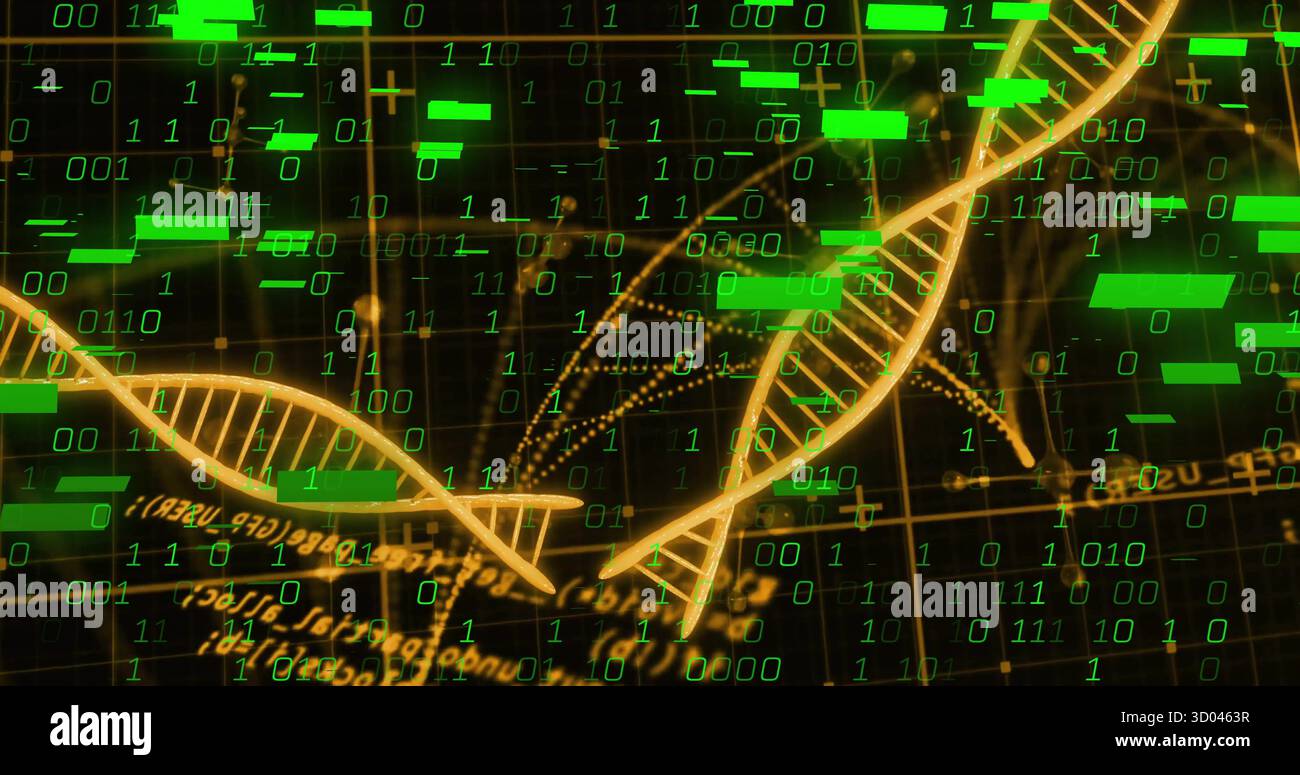 Twisting golden DNA strands over dark grid in data interface, with green binary digits, data bars Stock Photo
