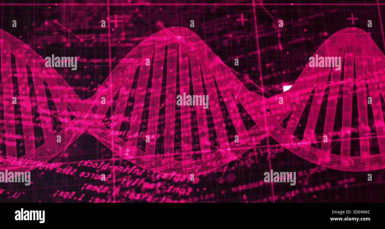 Displaying floating DNA double helix twisting over grid interface, with scrolling code annotations Stock Photo