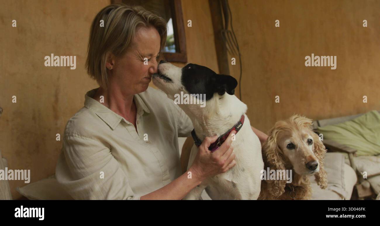 Recloiling Recoiling woman holding two-toned dog licking nose on cushioned porch ...