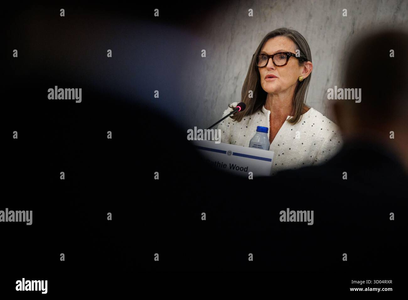 Washington, United States. 21st Oct, 2025. Cathie Wood, CEO of Ark Invest,  during the Payments Innovation Conference at the Federal Reserve on October  21, 2025 in Washington, DC The Board of Governors
