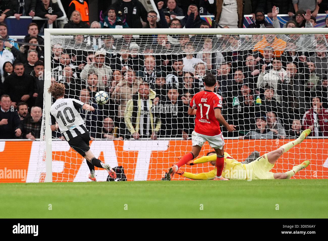 anthony-gordon-champions-league-goal-hi-res-stock-photography-and