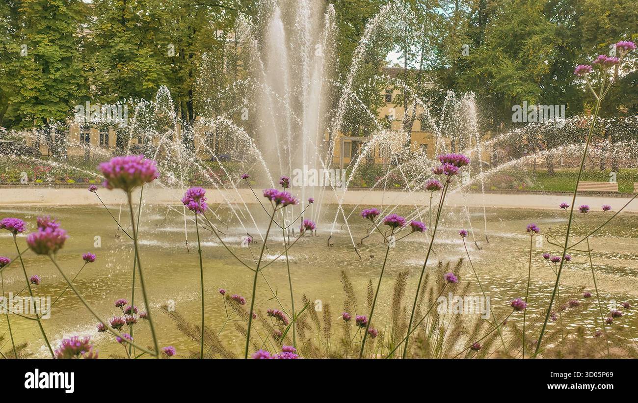 Fountain in city park in autumn days. Flowers on foreground and water drops on background - Smartphone Captured Stock Image