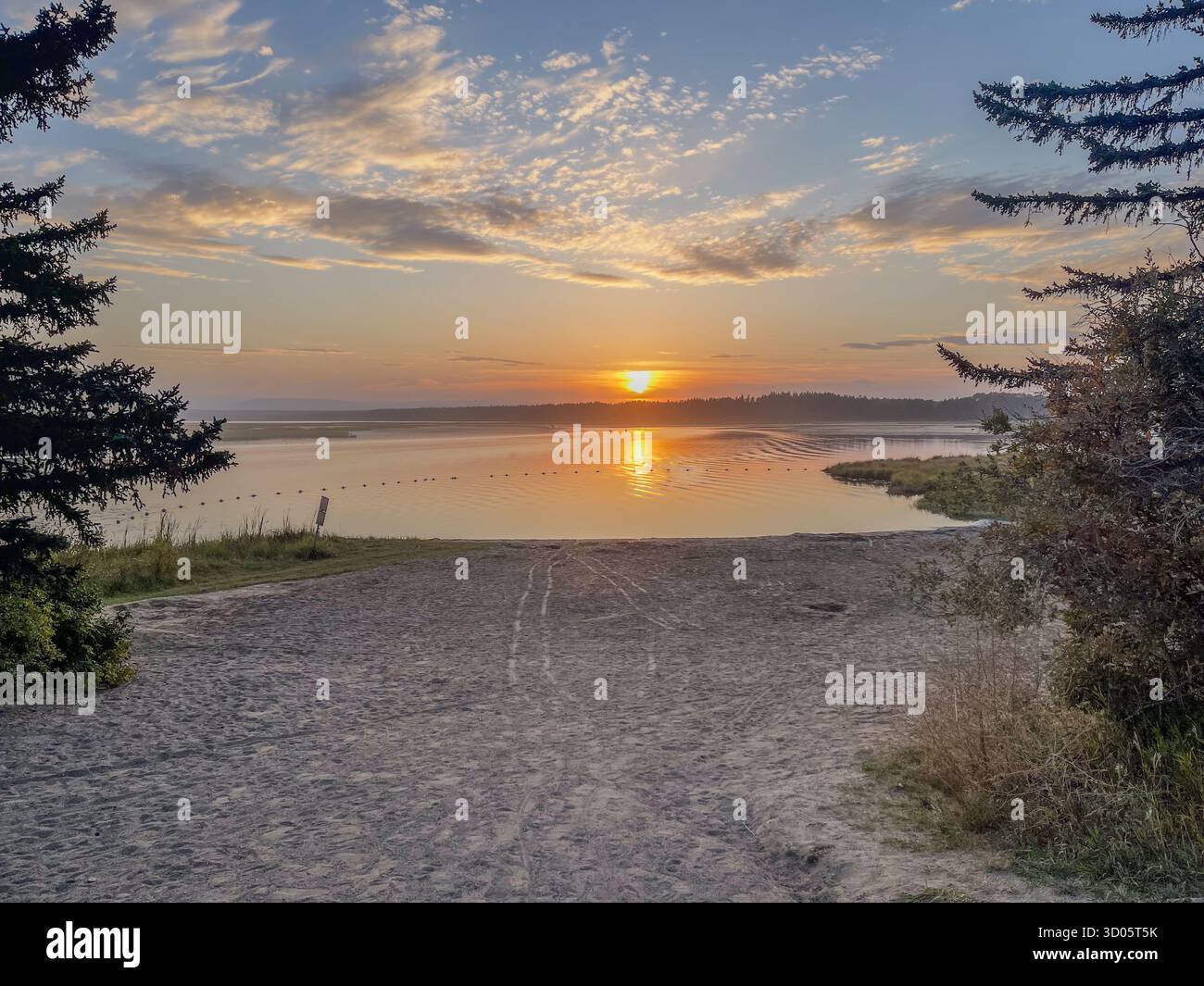 A serene lakeside scene at sunset features a sandy path leading to still water, framed by trees. Warm light paints the sky, creating gentle reflection - Smartphone Captured Stock Image
