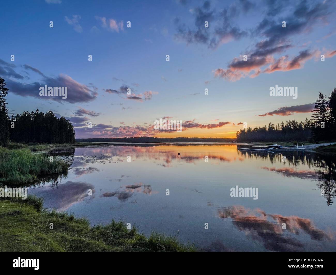 Evening light over a tranquil lake creates vivid reflections of the sky, clouds, and surrounding trees. A peaceful, natural landscape featuring water - Smartphone Captured Stock Image