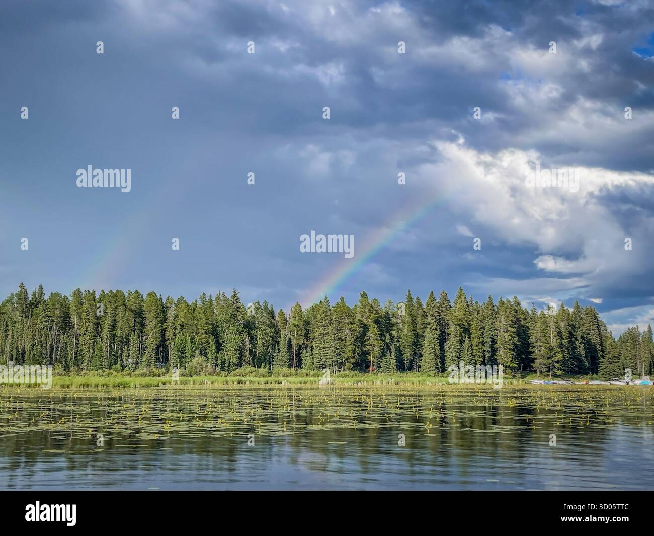 A tranquil lakeside scene with a vivid rainbow arcing over a forest shoreline. Reflections shimmer on the water among lily pads beneath a dramatic sky - Smartphone Captured Stock Image