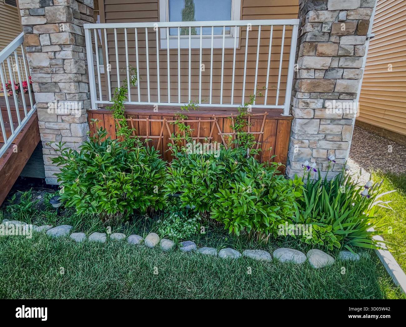 A tidy residential garden bed lines a porch foundation, featuring lush green shrubs and blooming irises beside a wooden porch and stone pillars - Smartphone Captured Stock Image