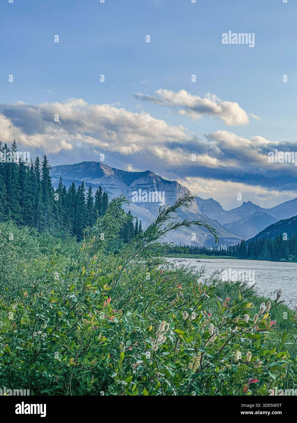 A serene landscape featuring a lake bordered by evergreen trees and lush shrubs, with distant snow-capped mountains under a bright sky. - Smartphone Captured Stock Image