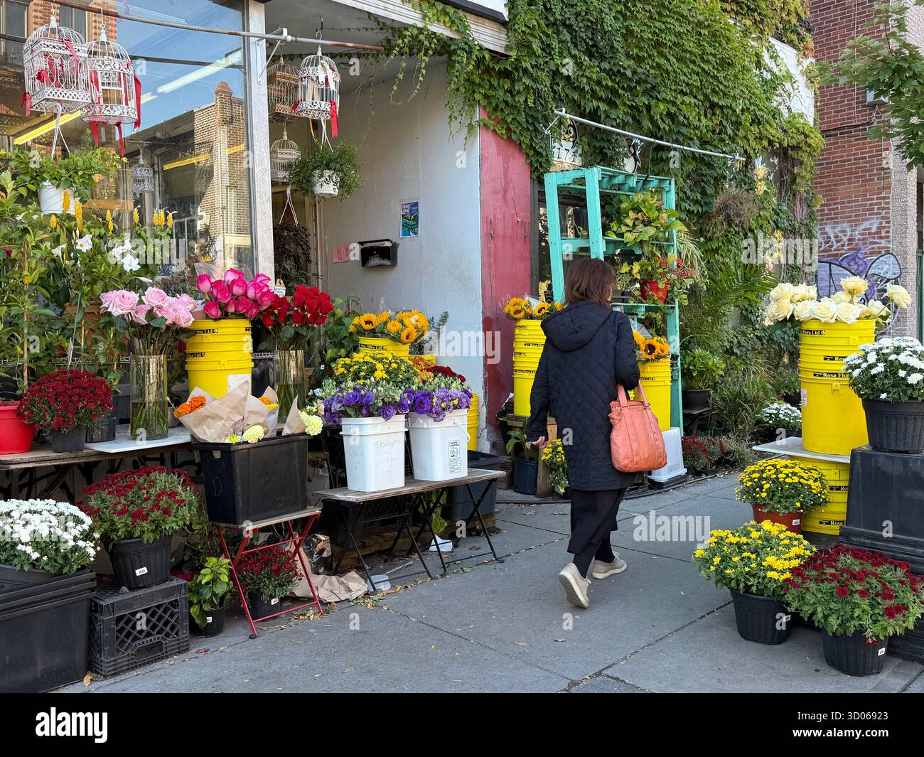 Flower shop, Mile End , Montreal Canada - Smartphone Captured Stock Image