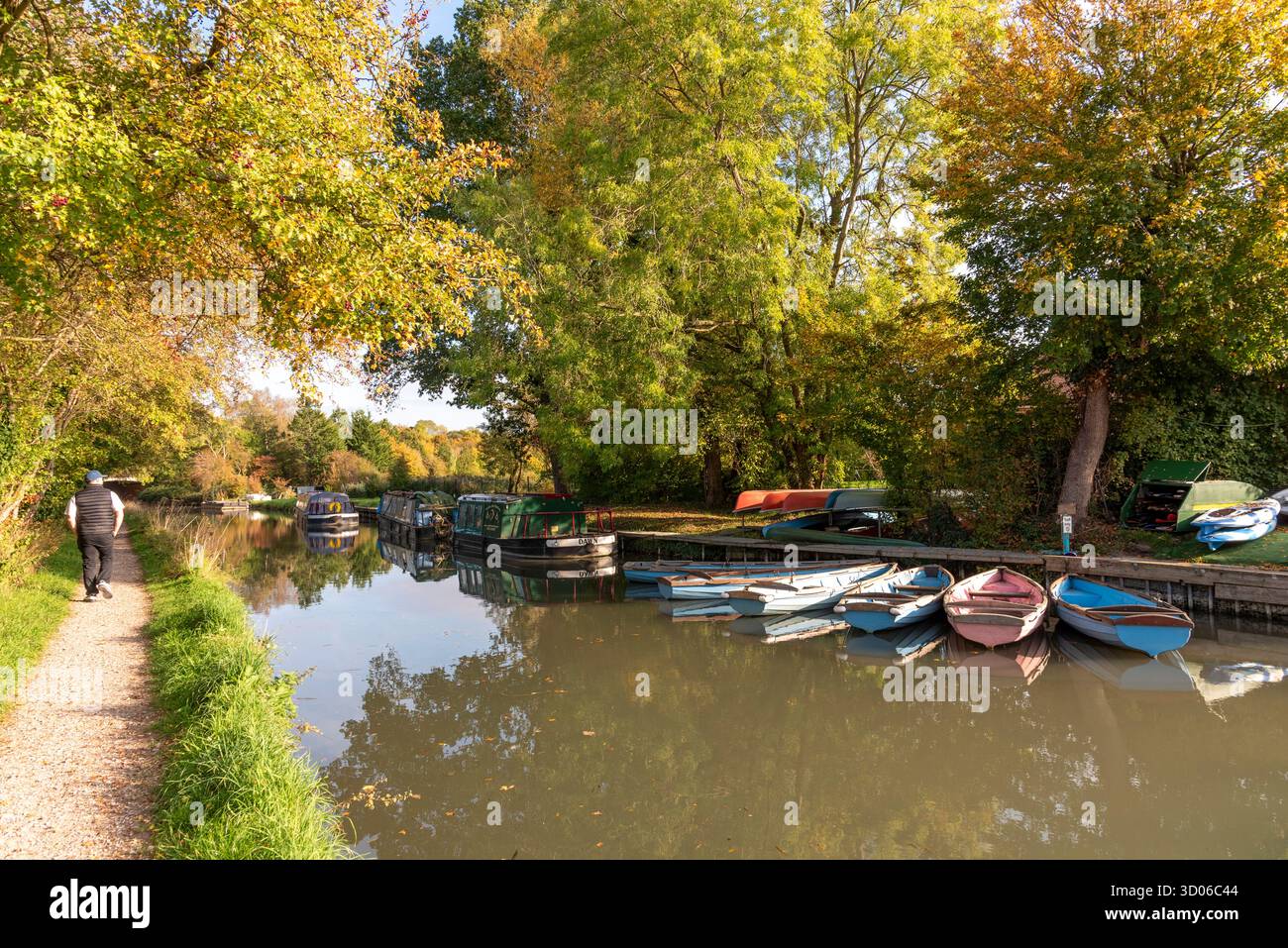 Odiham Hampshire England UK. 11.10. 2025. Autumnal view alongside the Basingstoke Canal in Odiham Hampshire UK Stock Photo