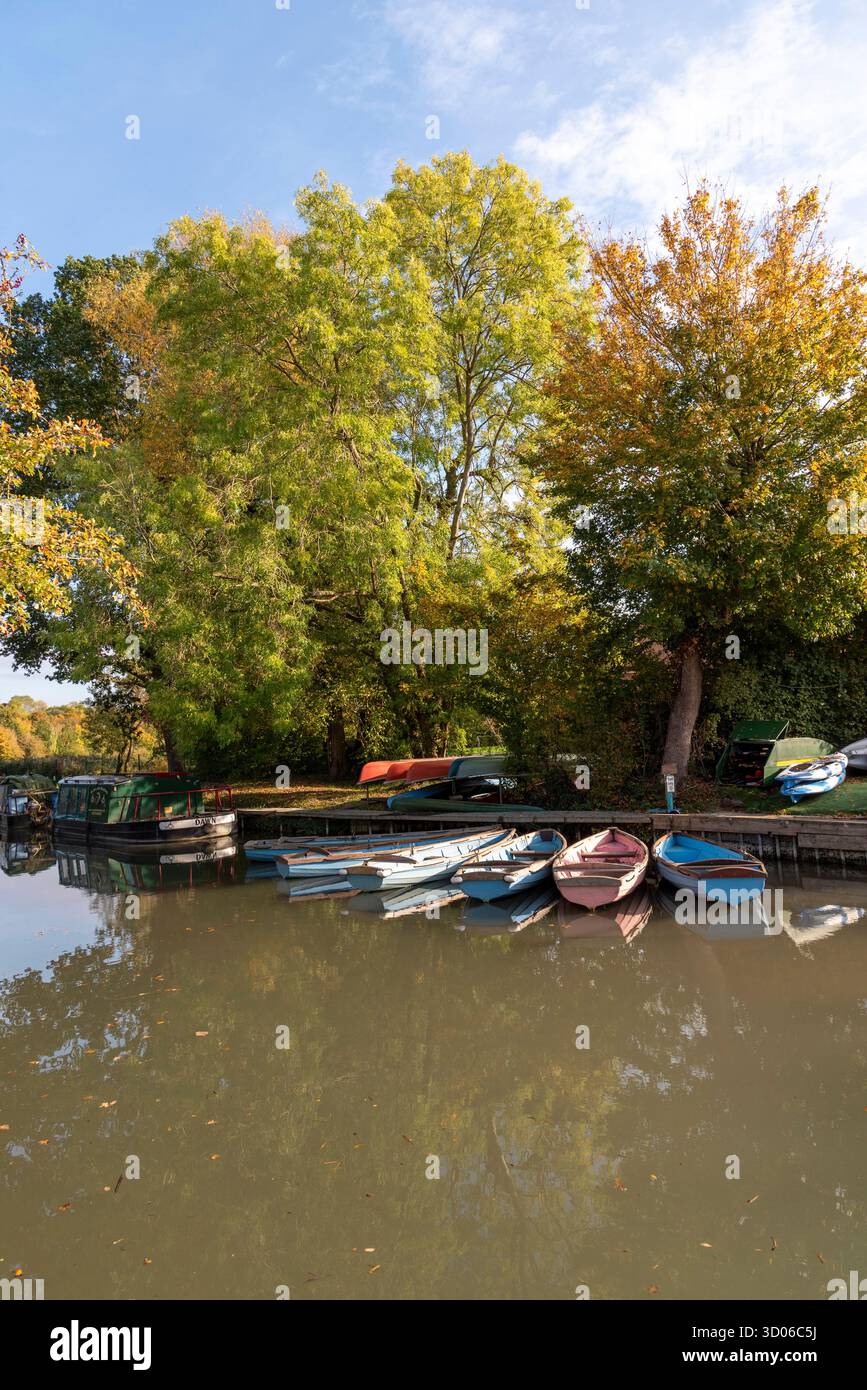 Odiham Hampshire England UK. 11.10. 2025. Autumnal view alongside the Basingstoke Canal in Odiham Hampshire UK - Stock Image