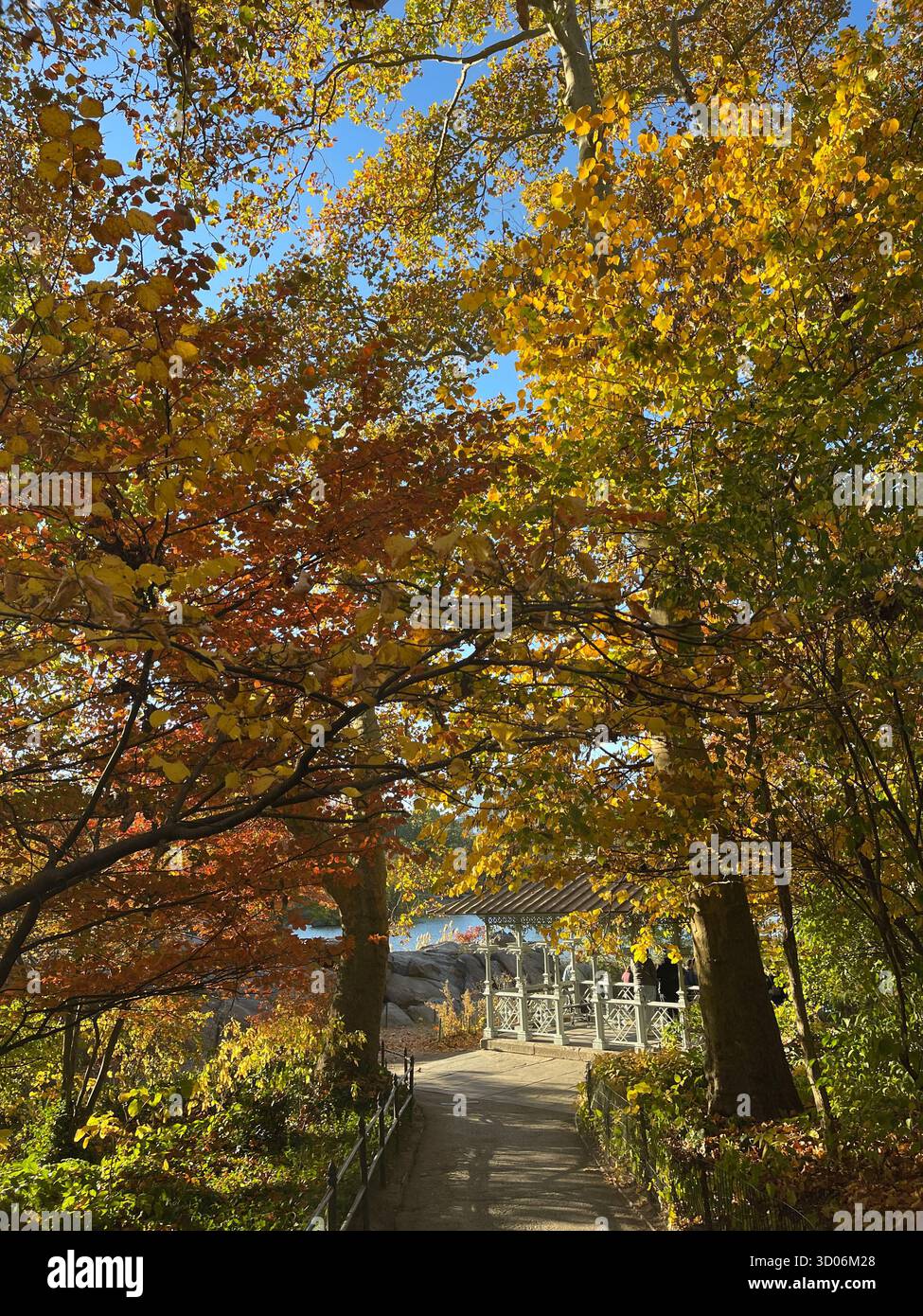 Elegant Ladies Pavilion in Central Park, New York City, gracefully changing with each season. - Smartphone Captured Stock Image