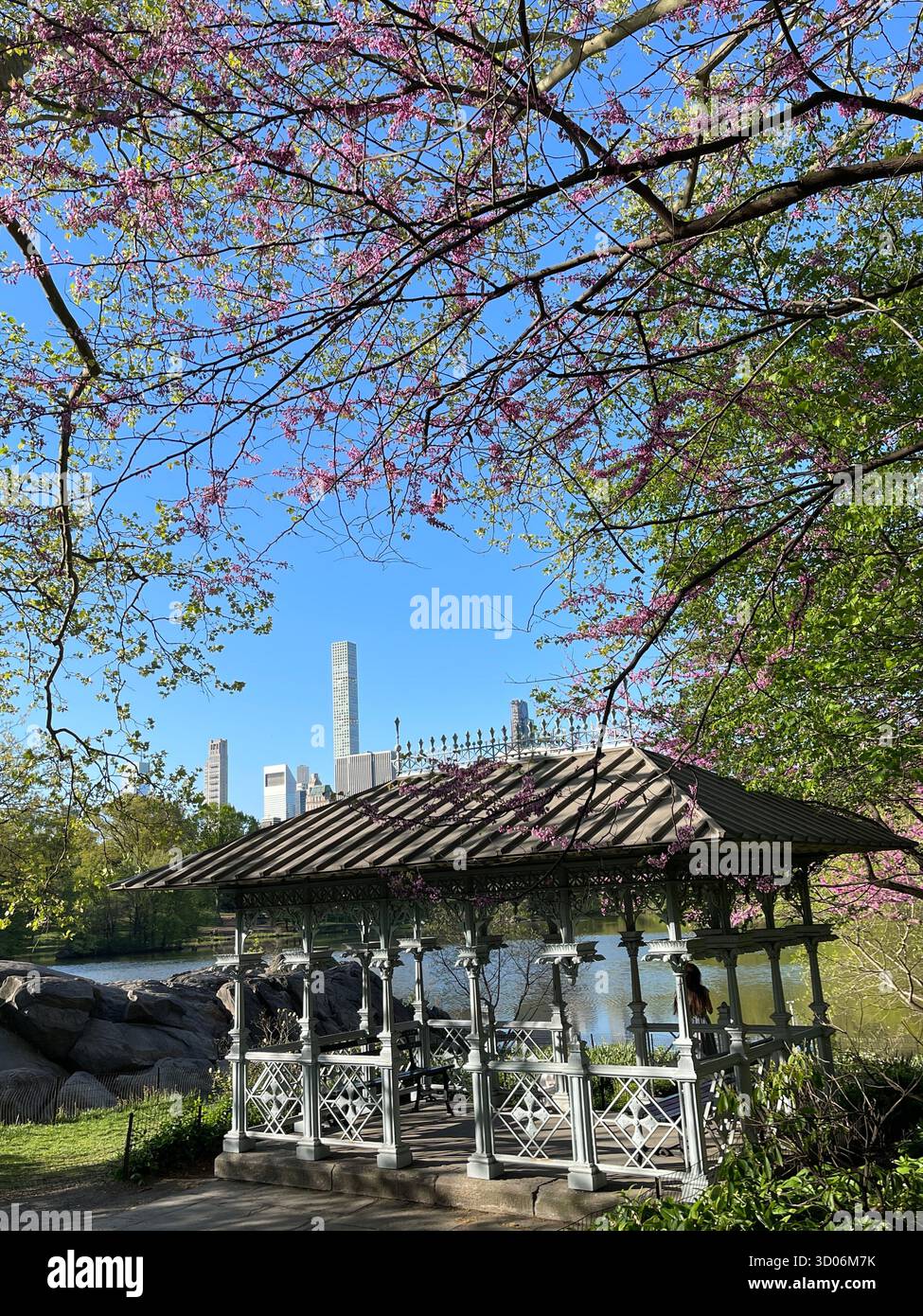 Elegant Ladies Pavilion in Central Park, New York City, gracefully changing with each season. - Smartphone Captured Stock Image