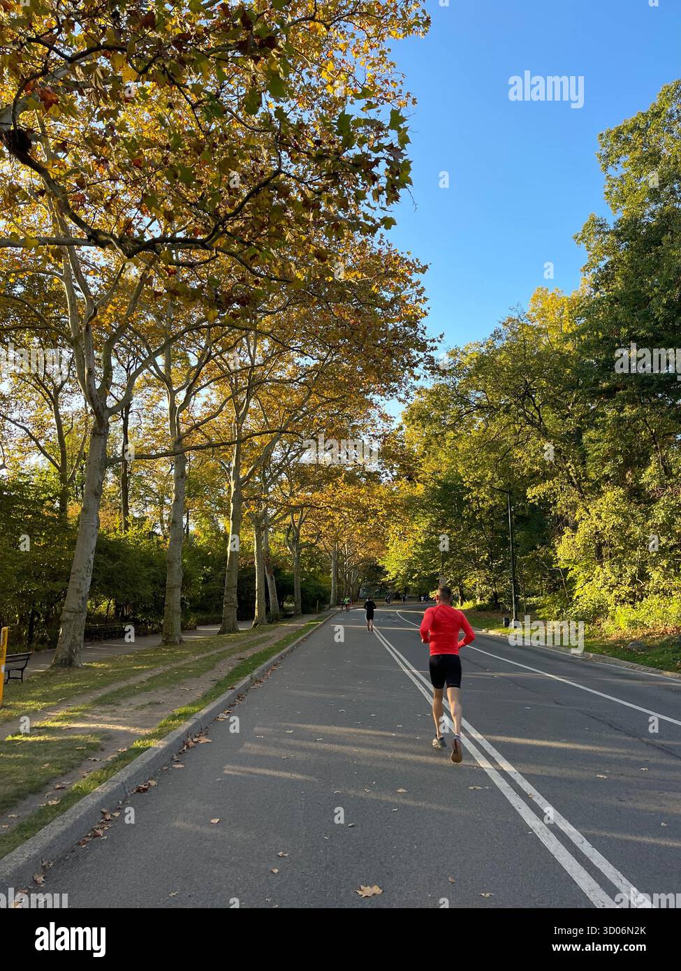 Runners in Central Park, NYC, full of energy and city spirit. - Smartphone Captured Stock Image