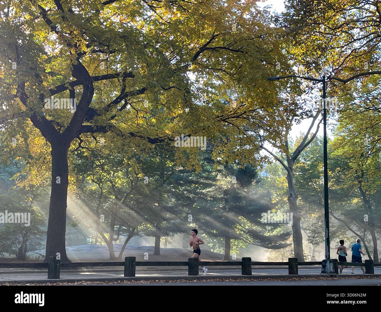 Runners in Central Park, NYC, full of energy and city spirit. - Smartphone Captured Stock Image