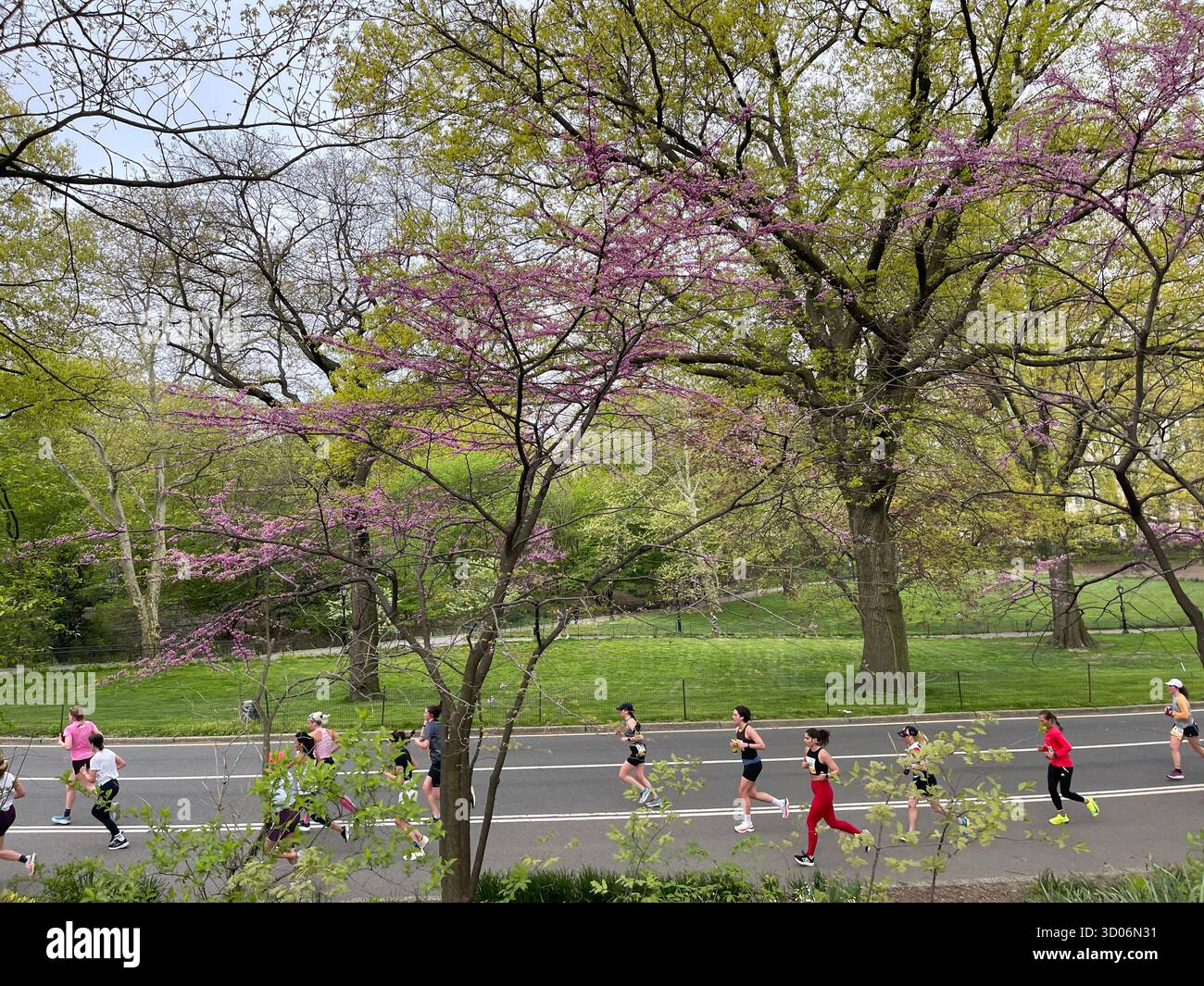 Runners in Central Park, NYC, full of energy and city spirit. - Smartphone Captured Stock Image